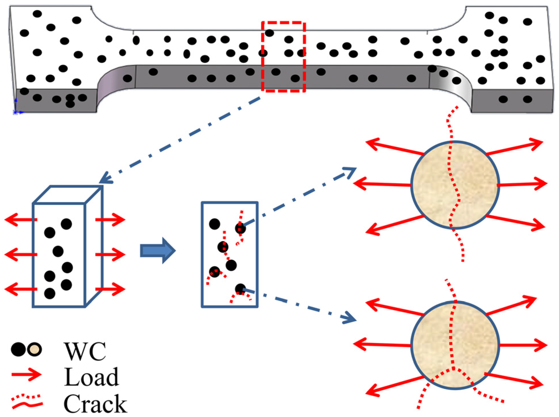 Metals 14 01097 g012