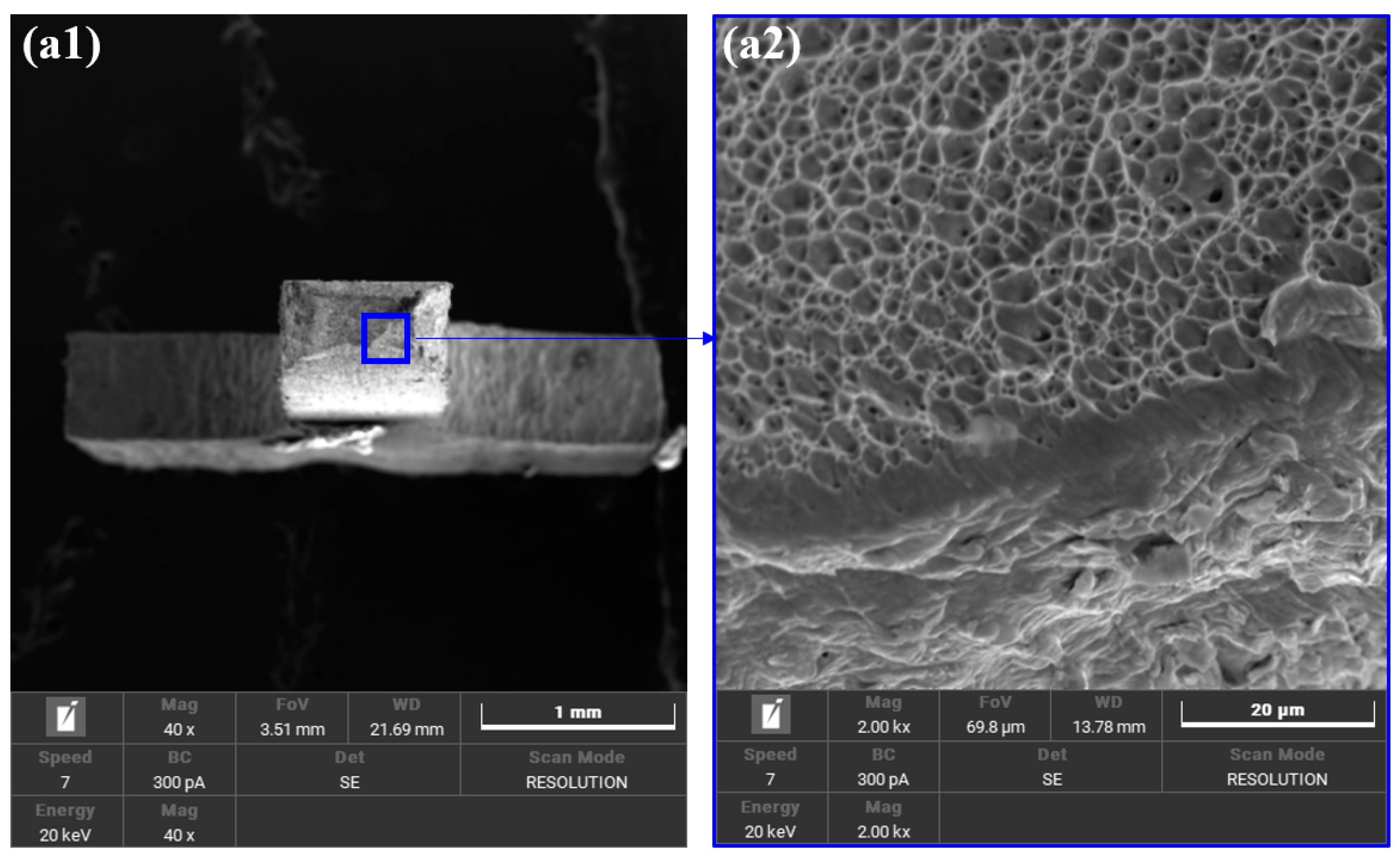 Metals 14 01104 g007a