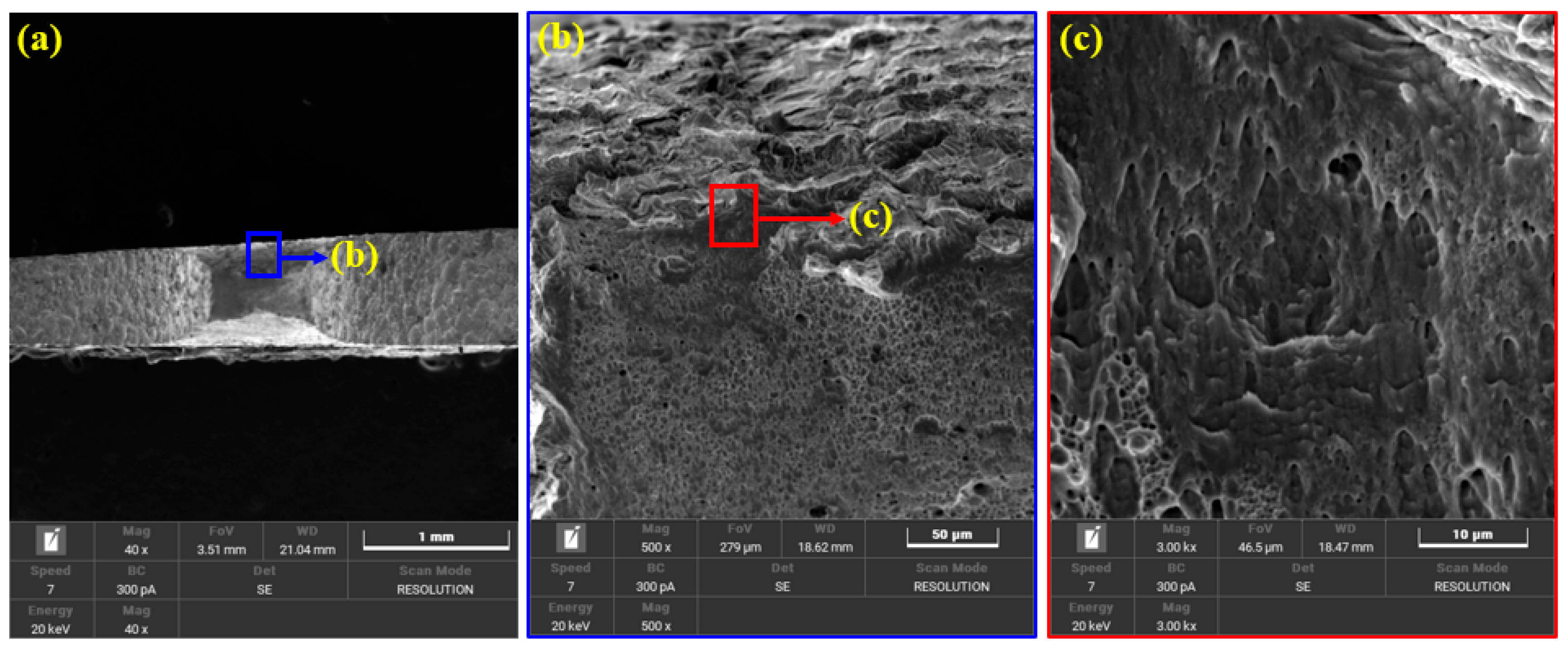 Metals 14 01104 g016