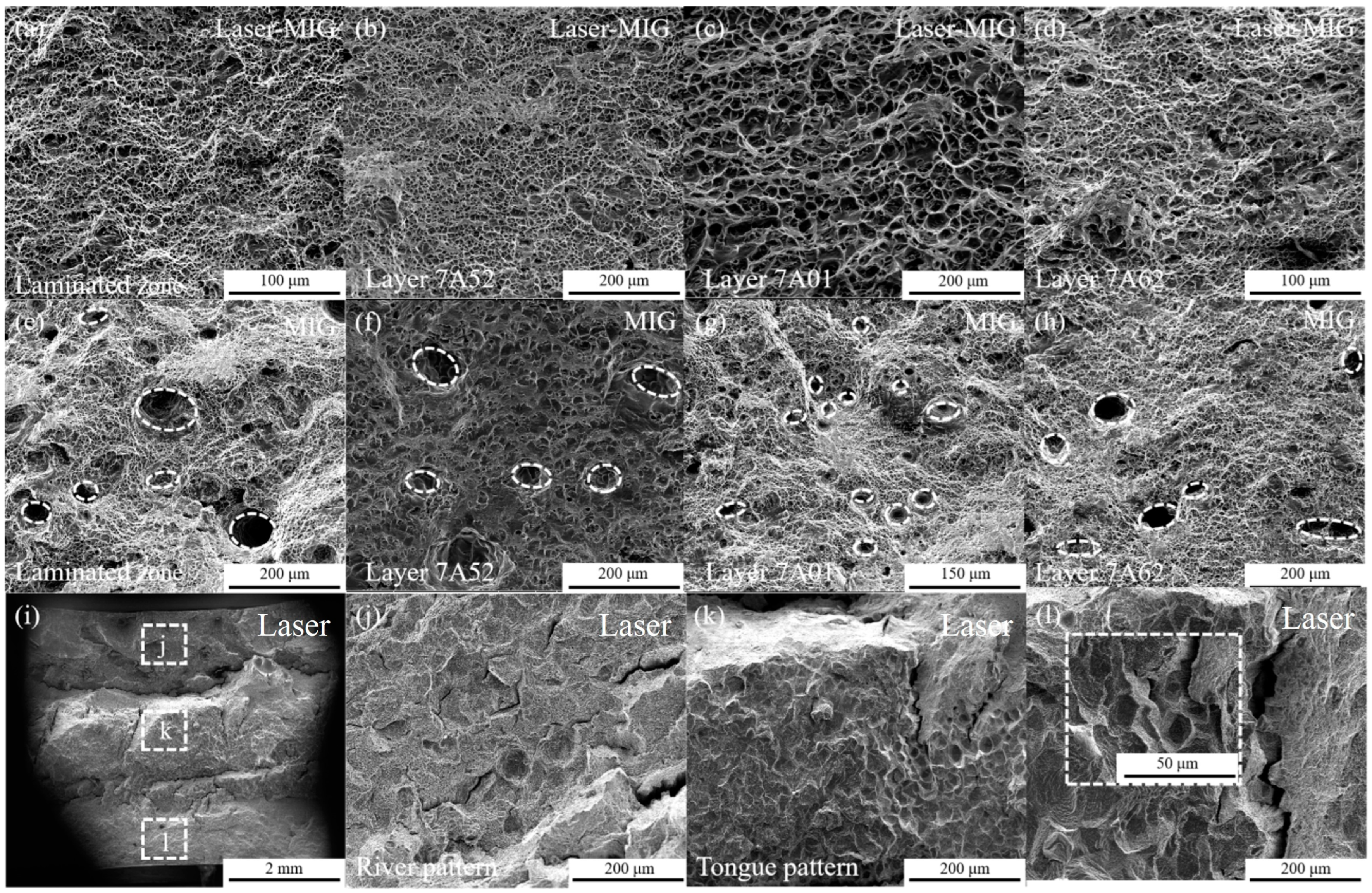 Metals 14 01110 g010