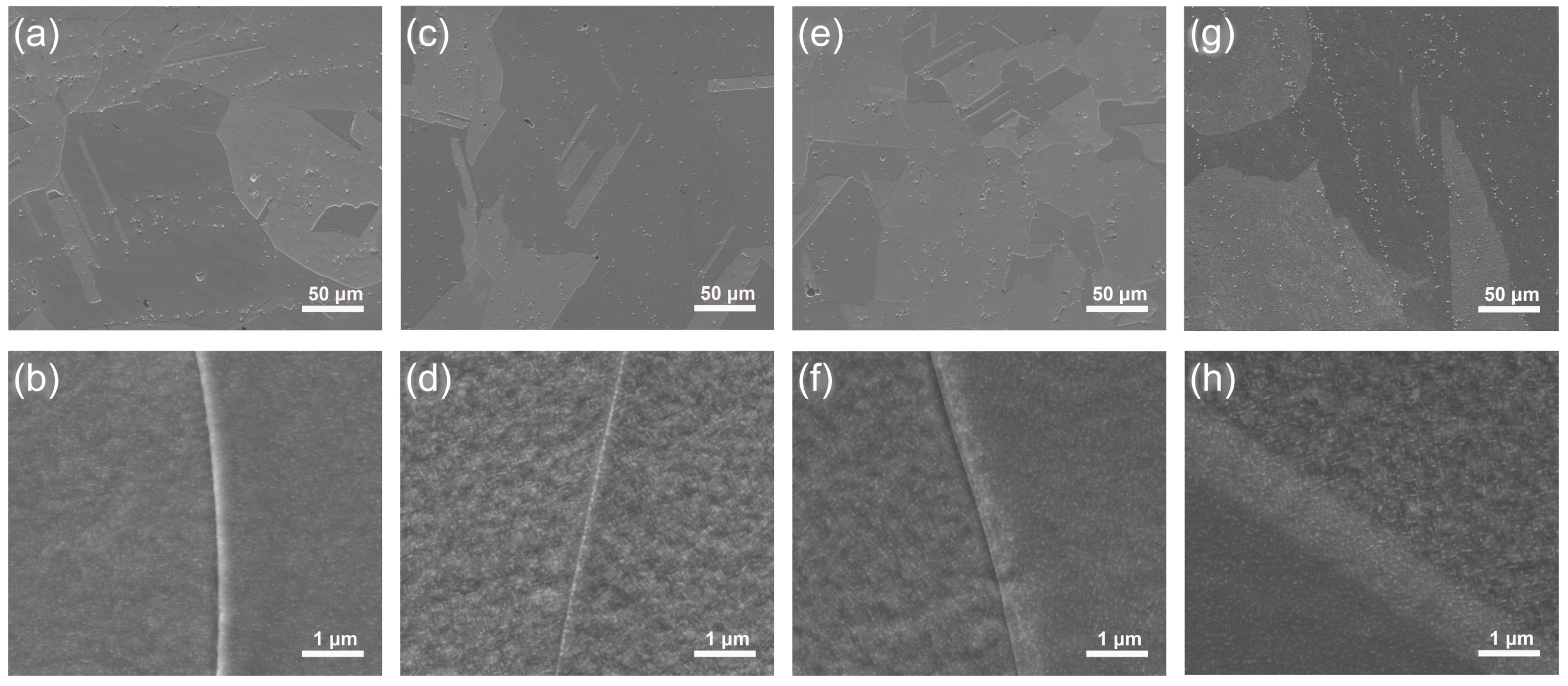 Metals 14 01111 g005