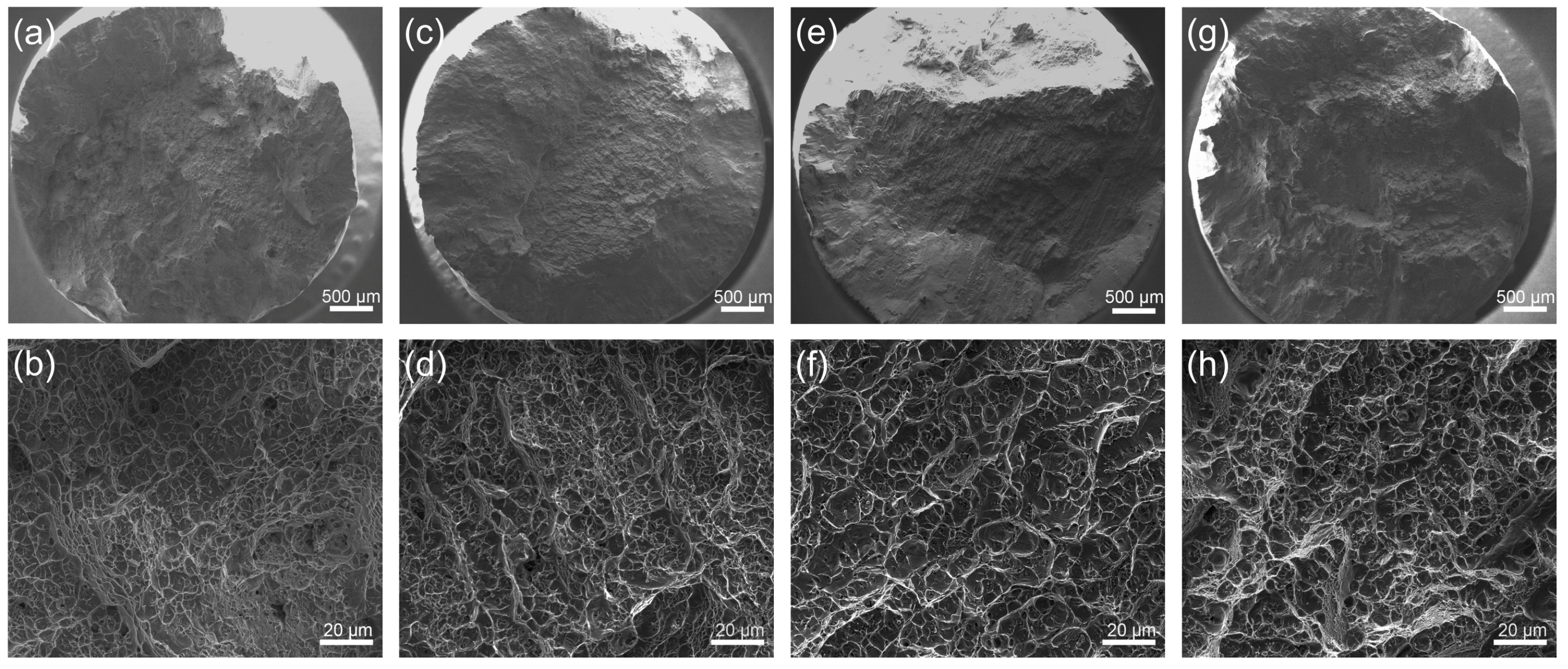 Metals 14 01111 g012