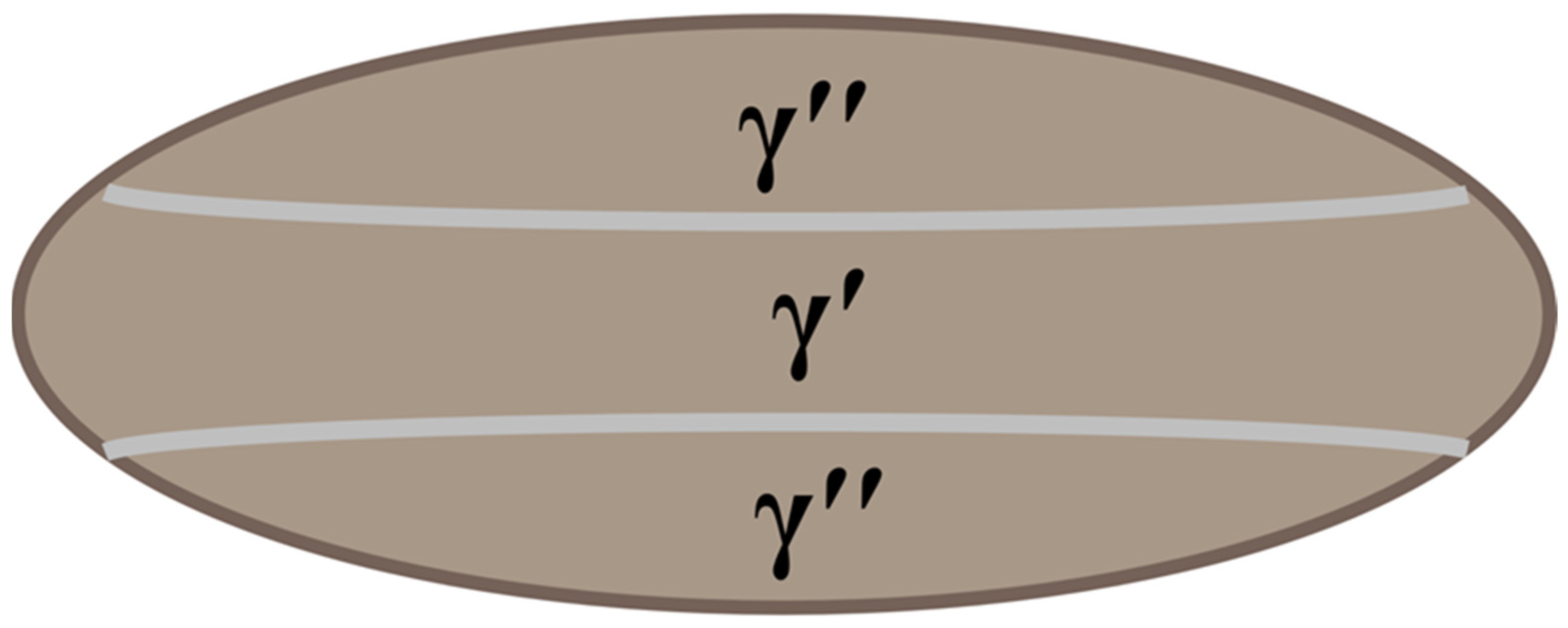 Metals 14 01111 g013