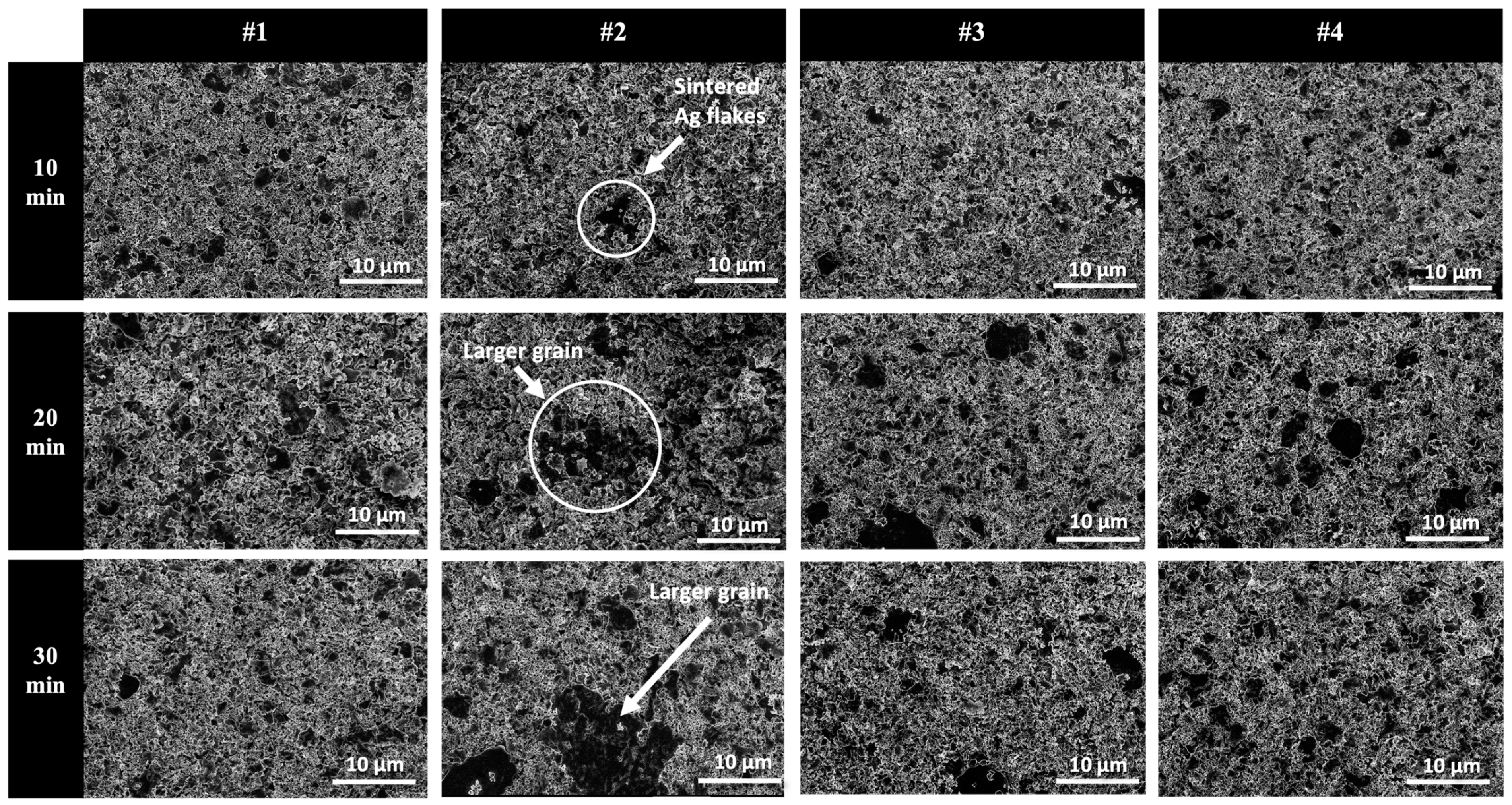 Metals 14 01123 g010