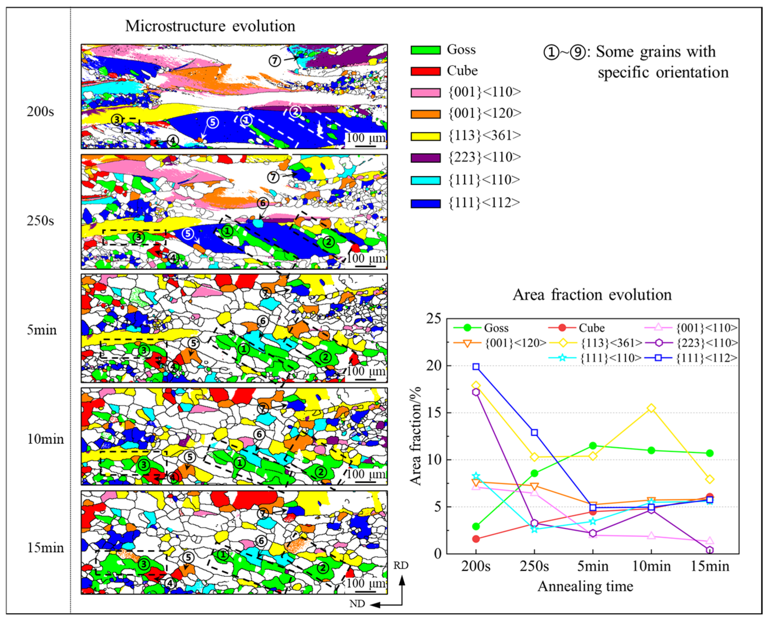 Metals 14 01127 g009