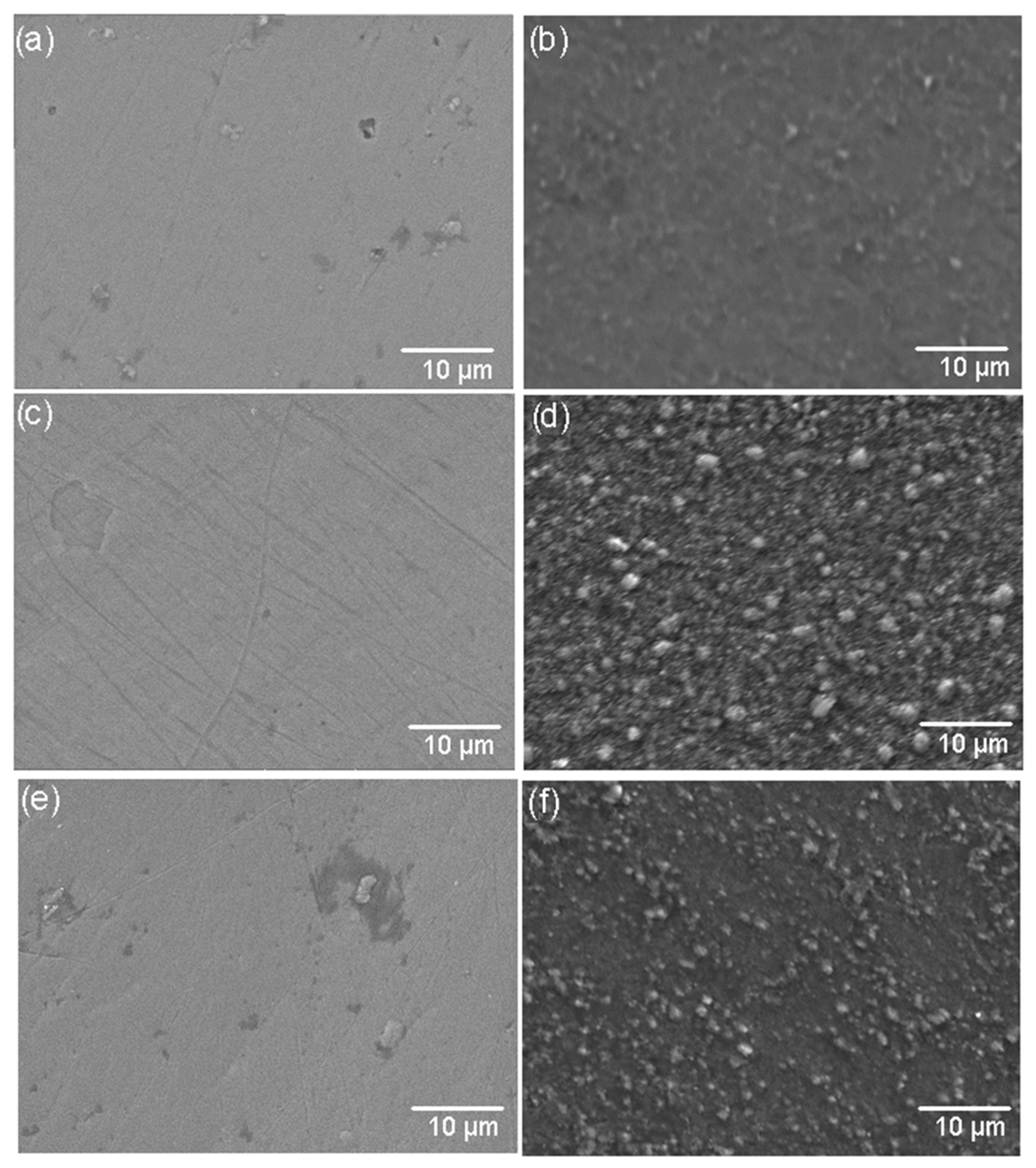 Metals 14 01131 g004