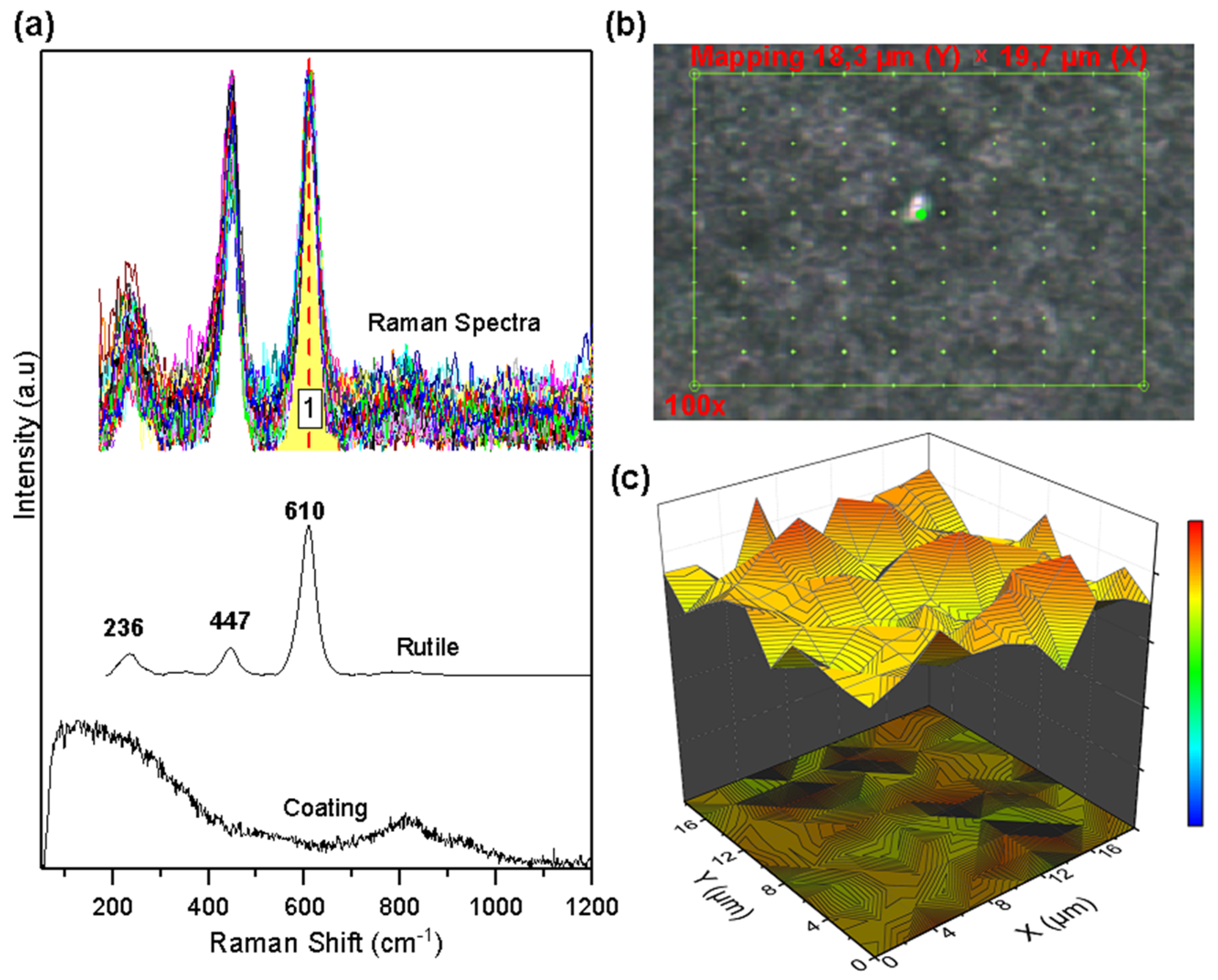 Metals 14 01131 g006