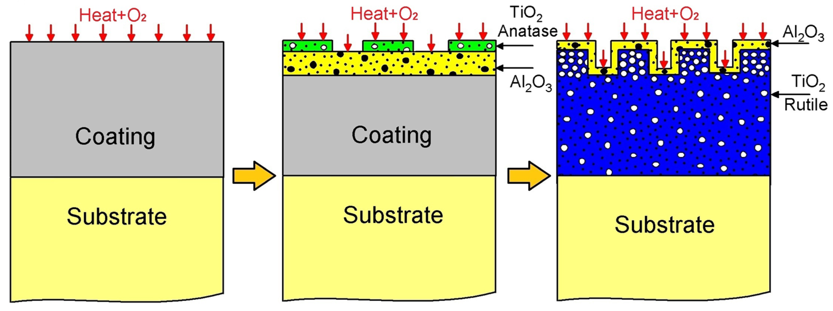 Metals 14 01131 g011