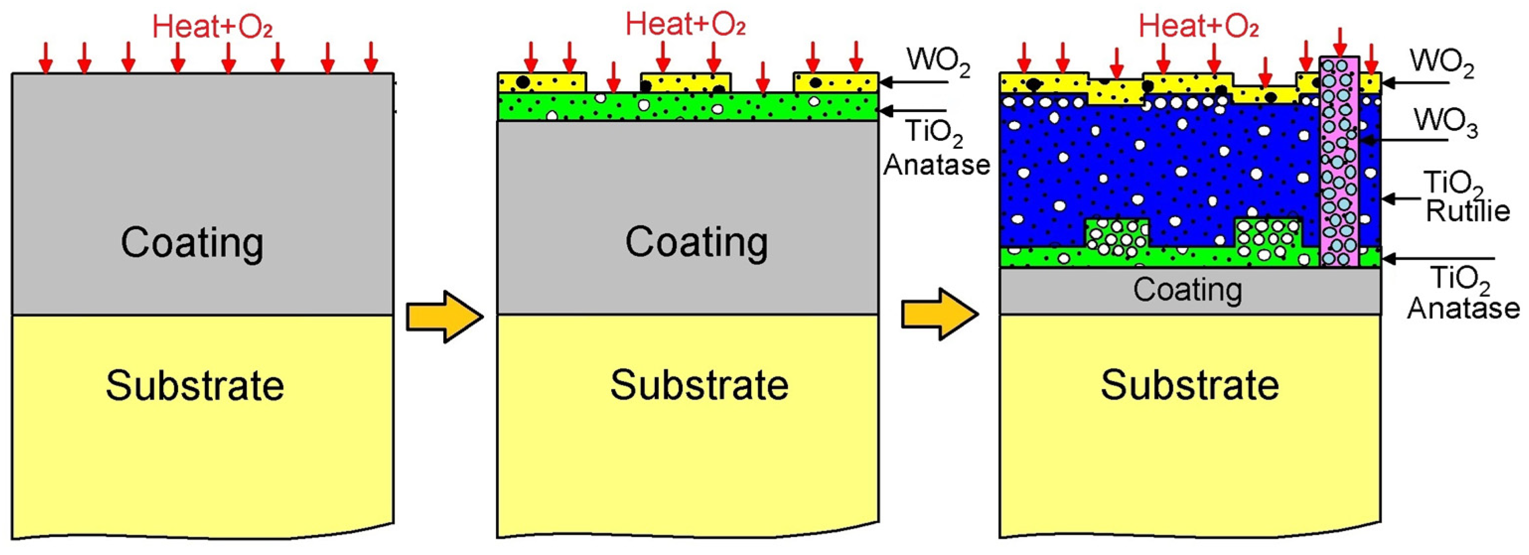 Metals 14 01131 g012