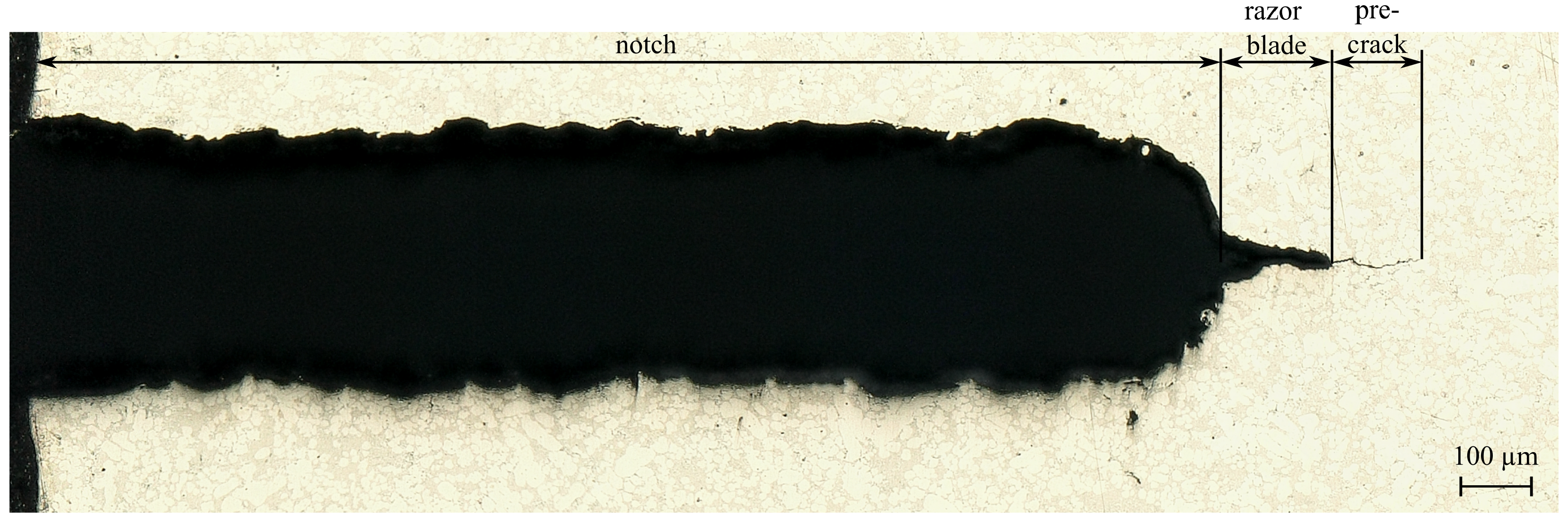 Metals 14 01135 g008