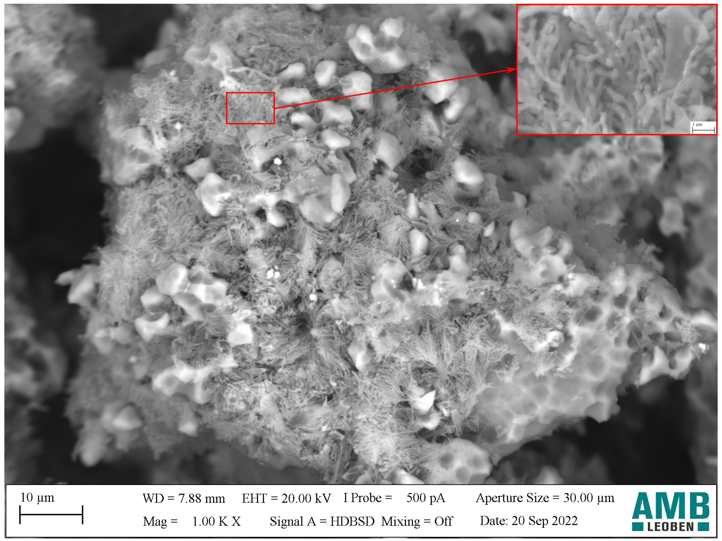 Metals 14 01135 g013