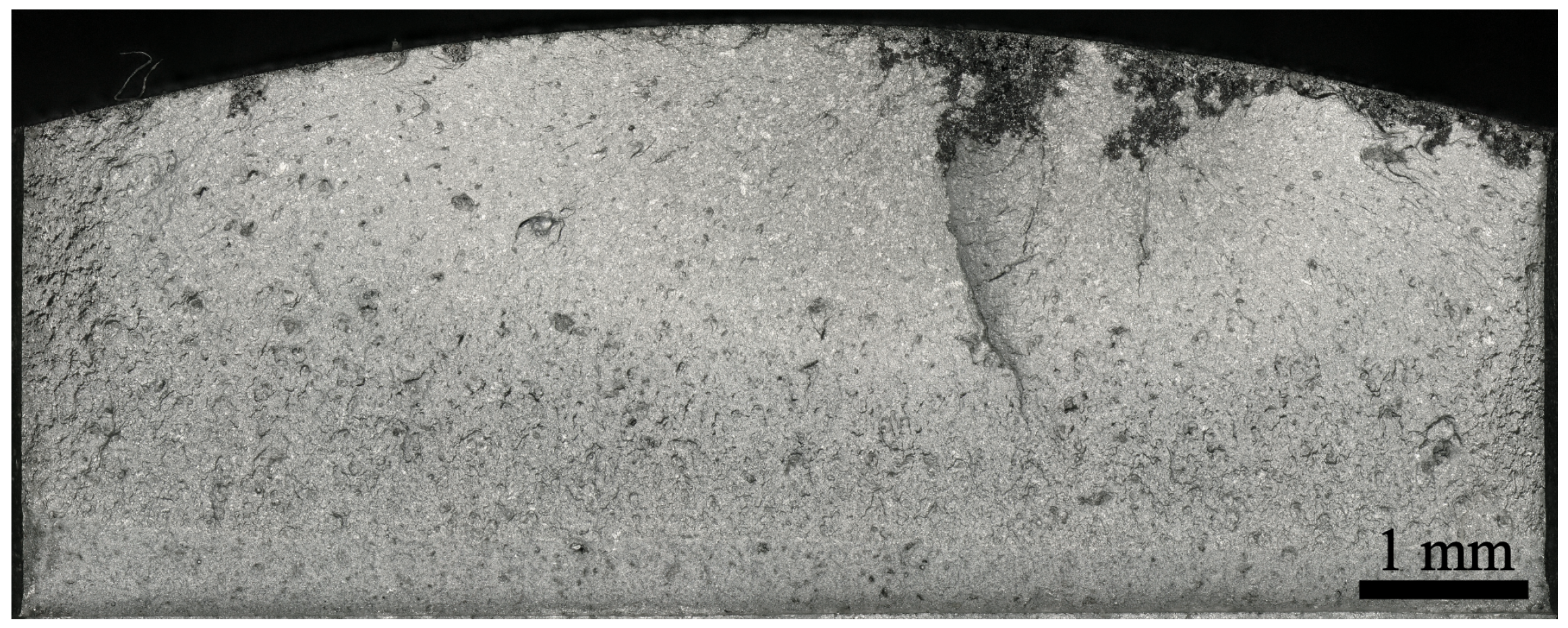 Metals 14 01135 g015