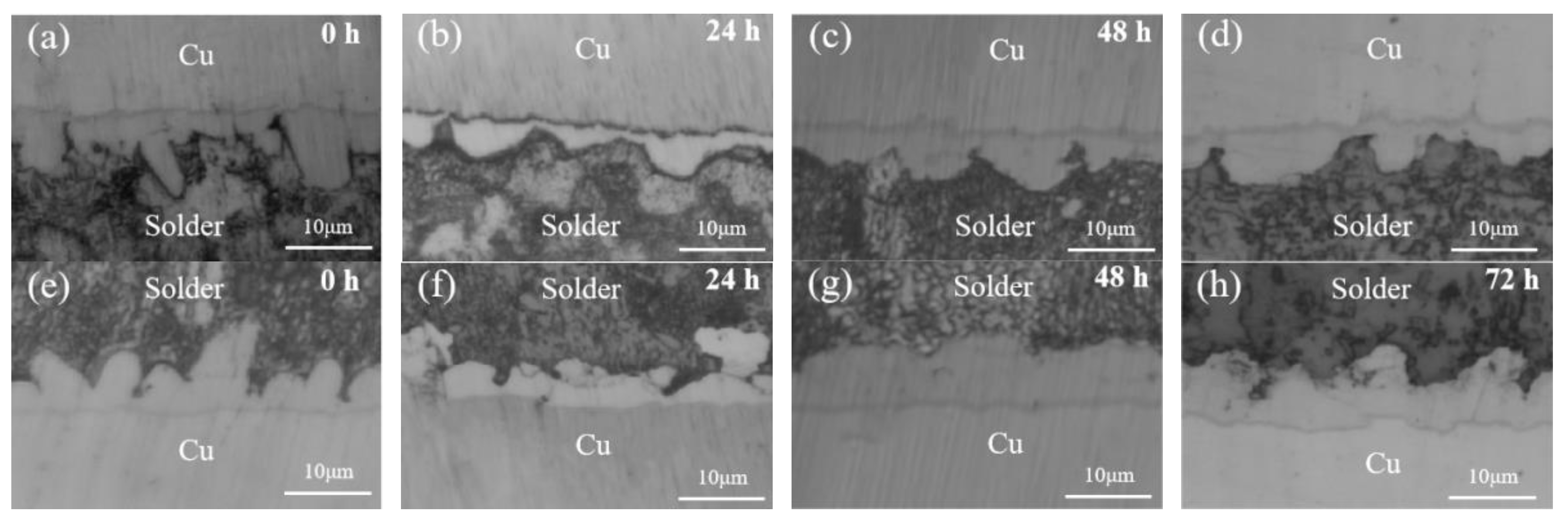 Metals 14 01149 g009