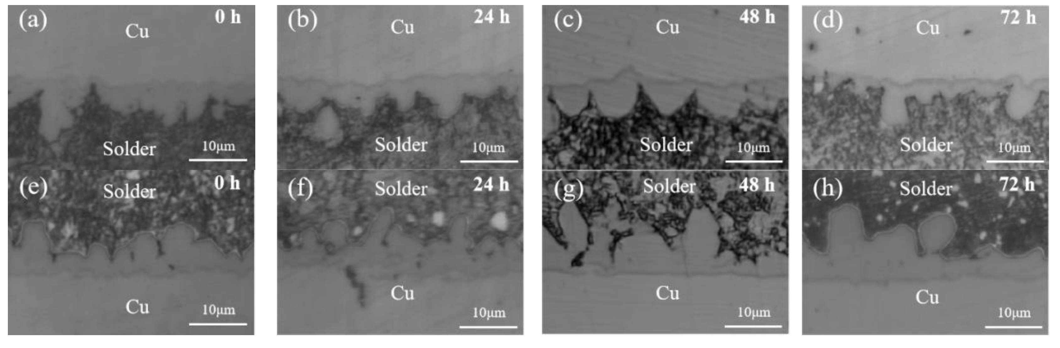 Metals 14 01149 g010