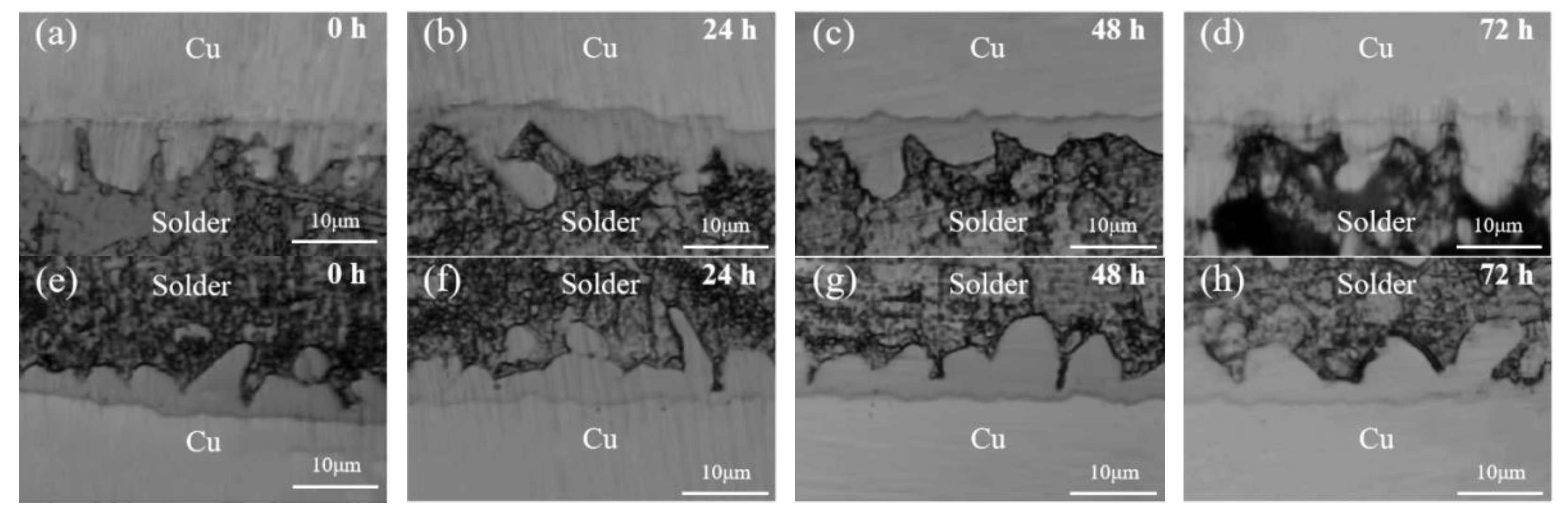 Metals 14 01149 g012