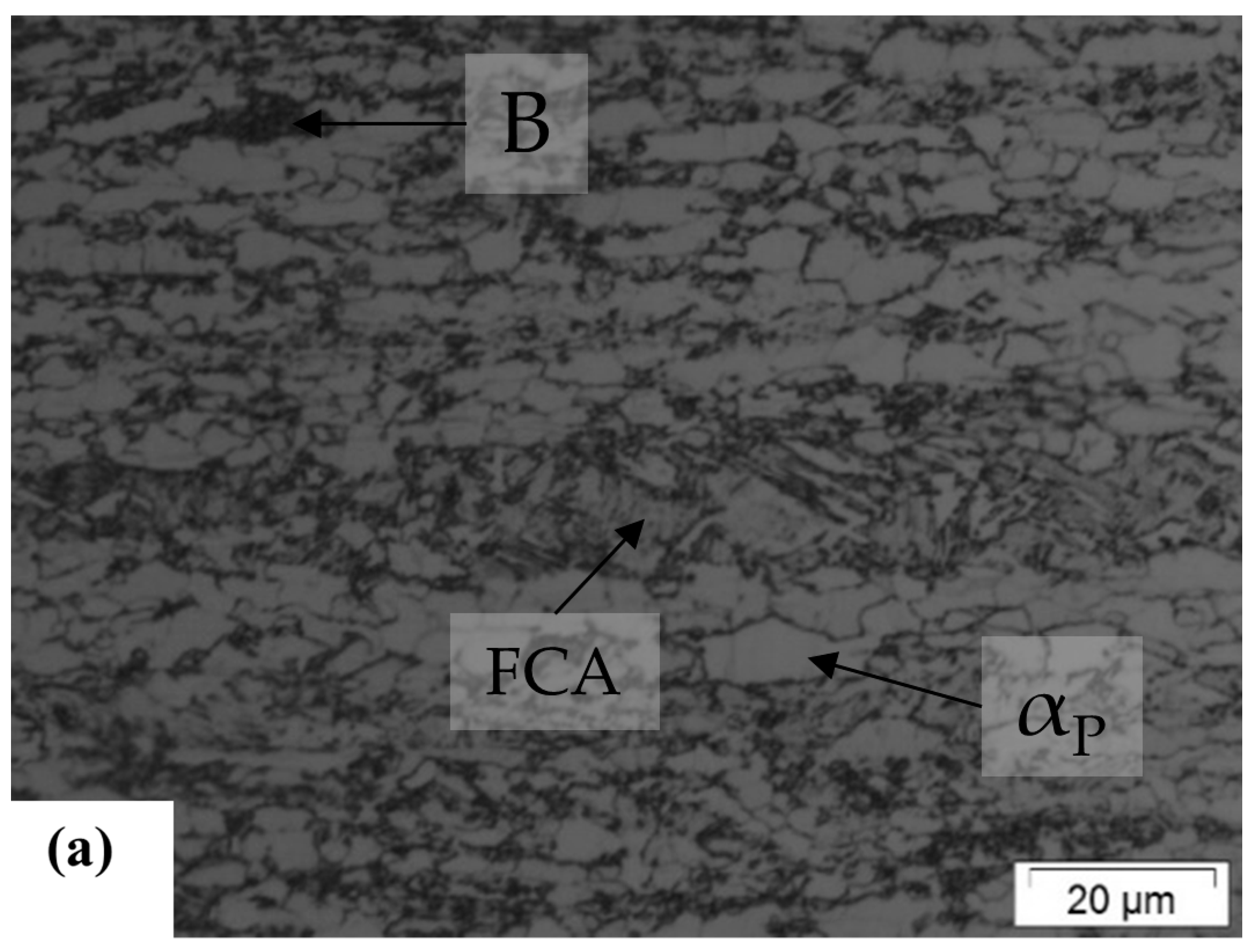 Metals 14 01154 g002a Metals 14 01154 g002a
