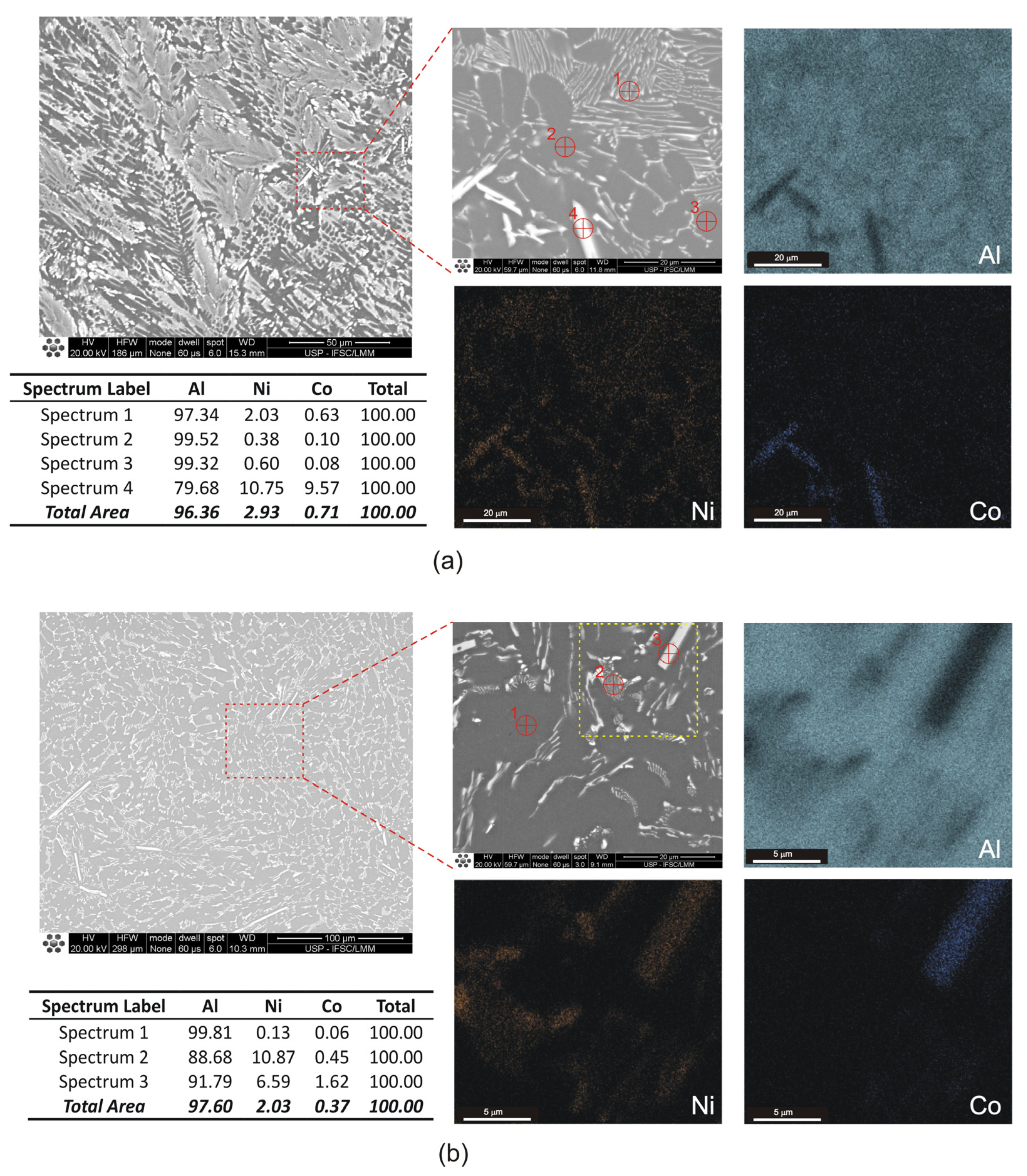 Metals 14 01156 g005a Metals 14 01156 g005a