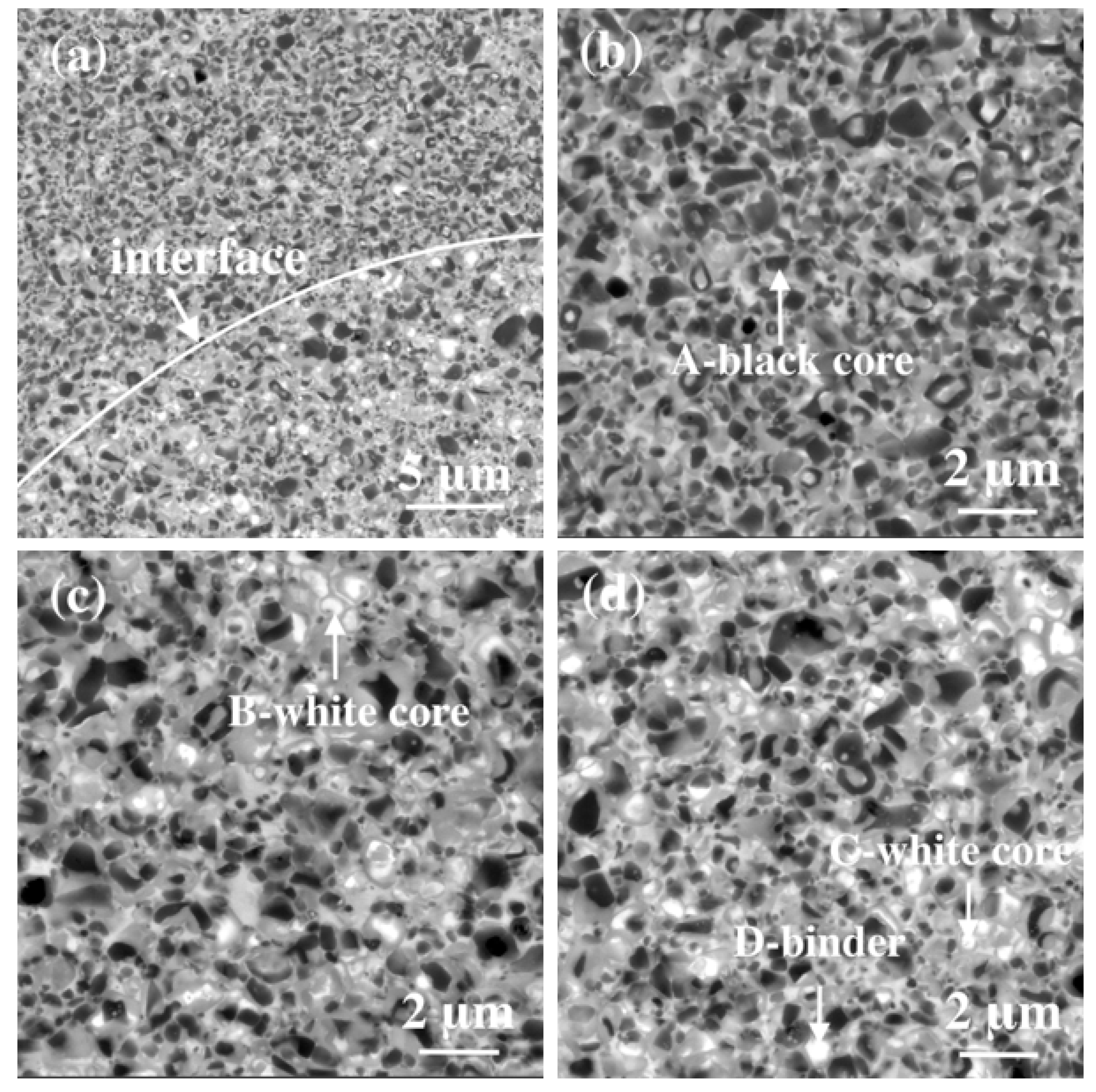 Metals 14 01161 g007