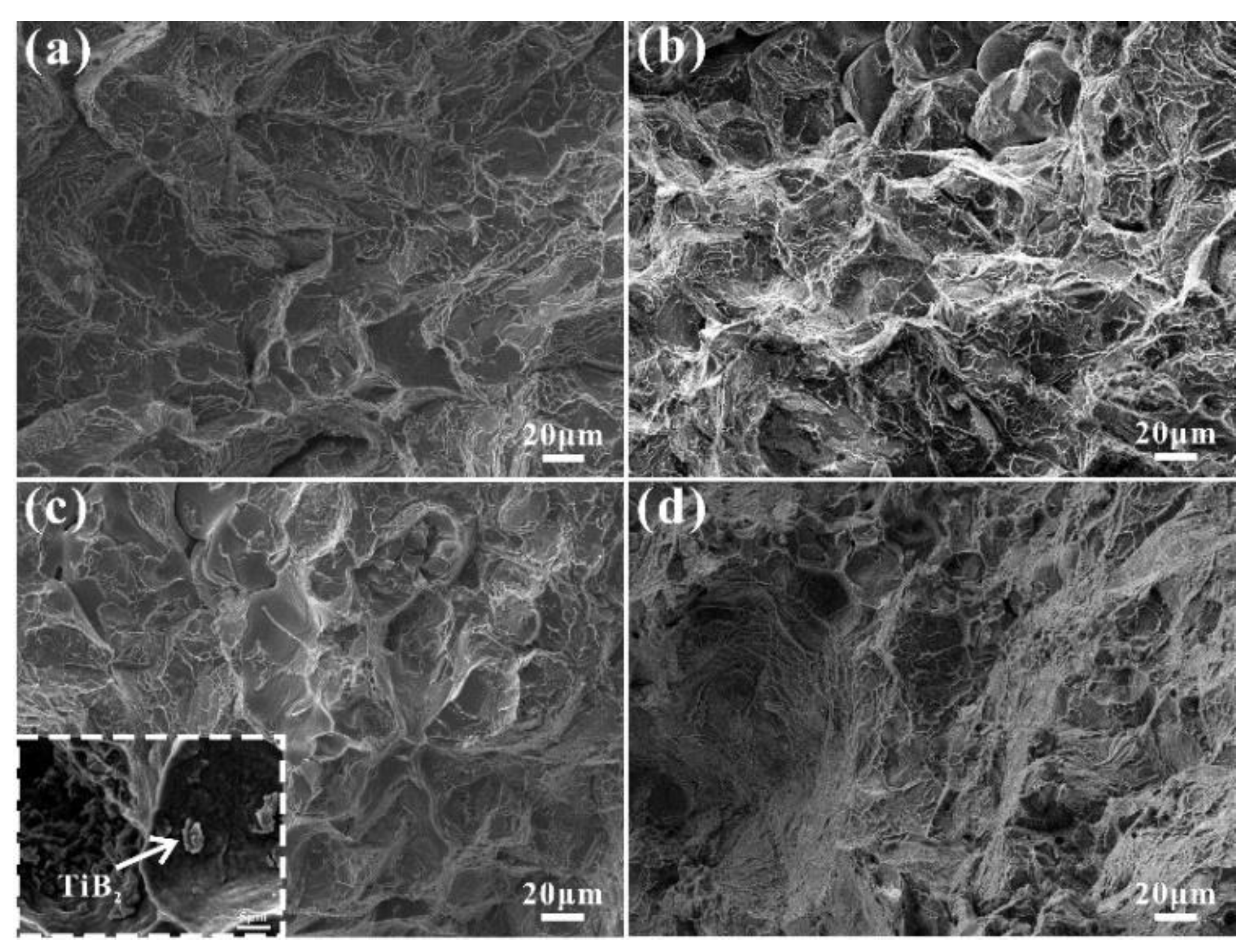 Metals 14 01169 g007