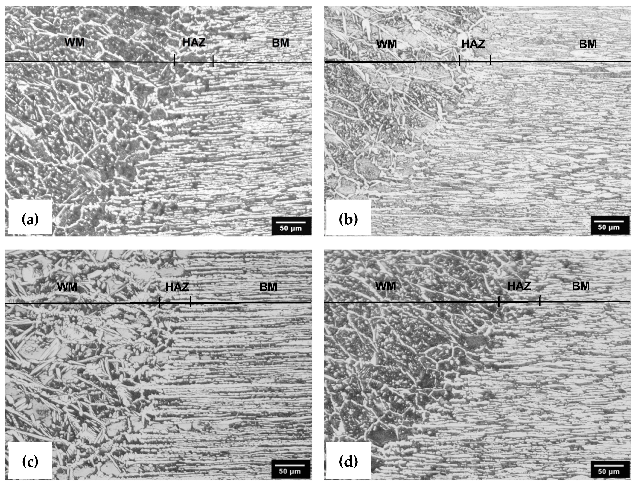 Metals 14 01184 g006