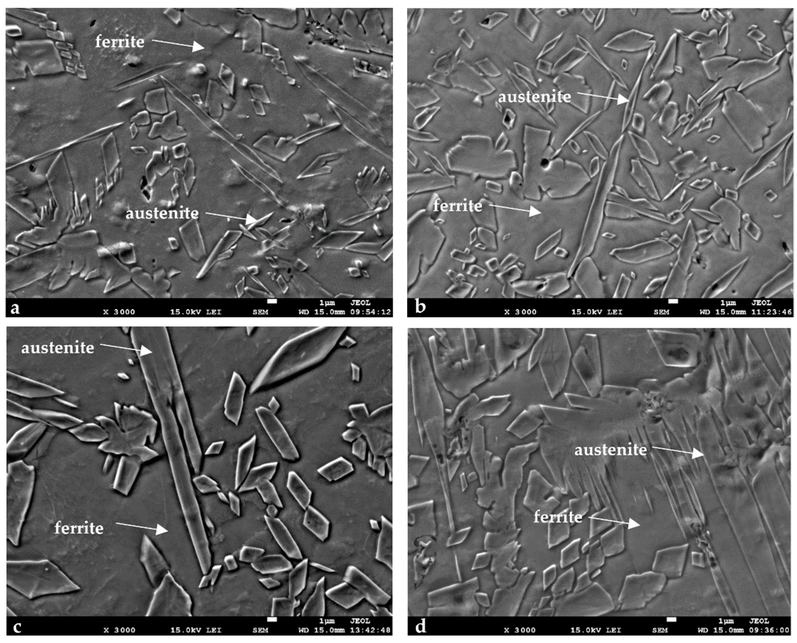 Metals 14 01184 g010