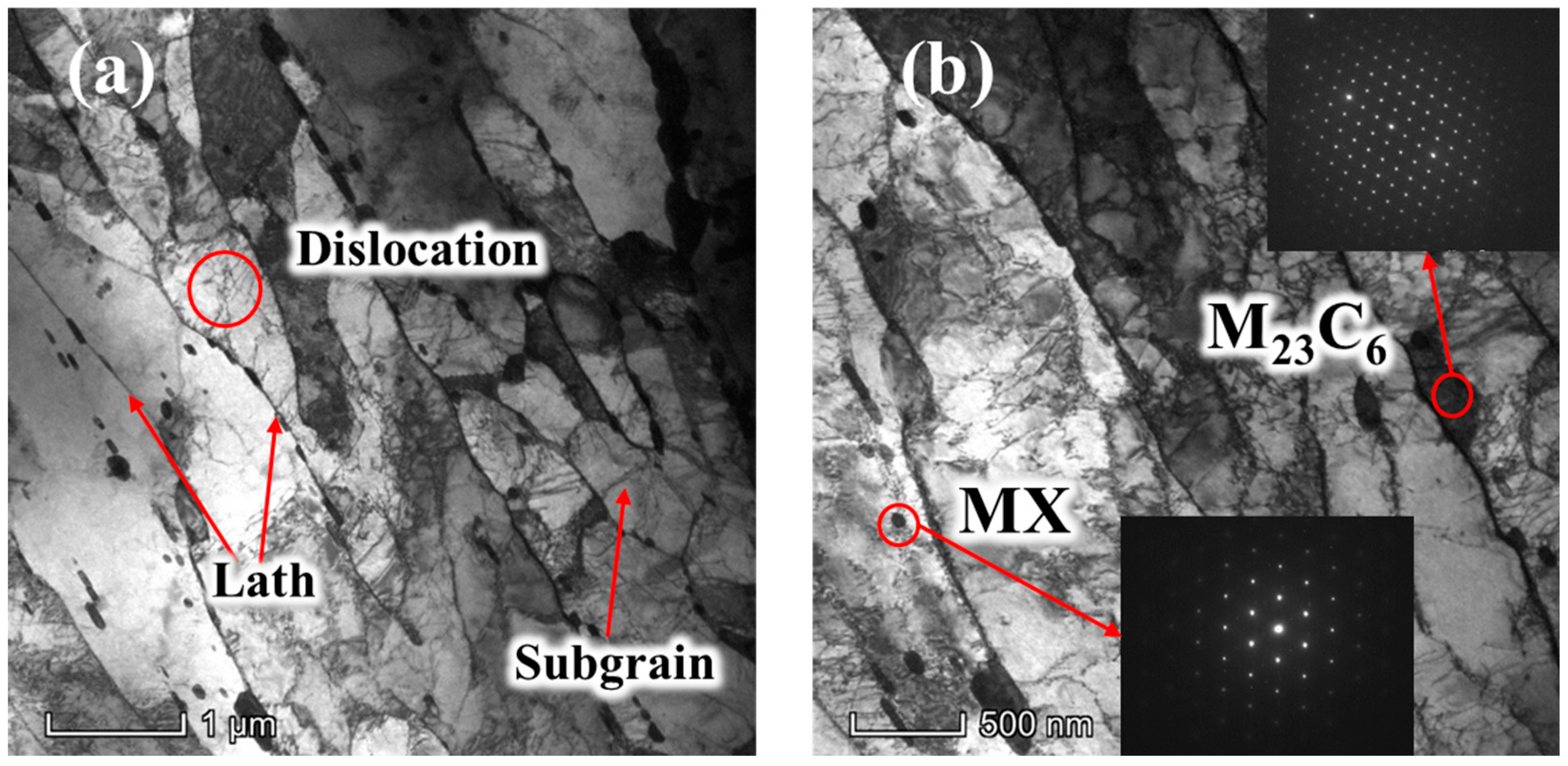 Metals 14 01191 g003