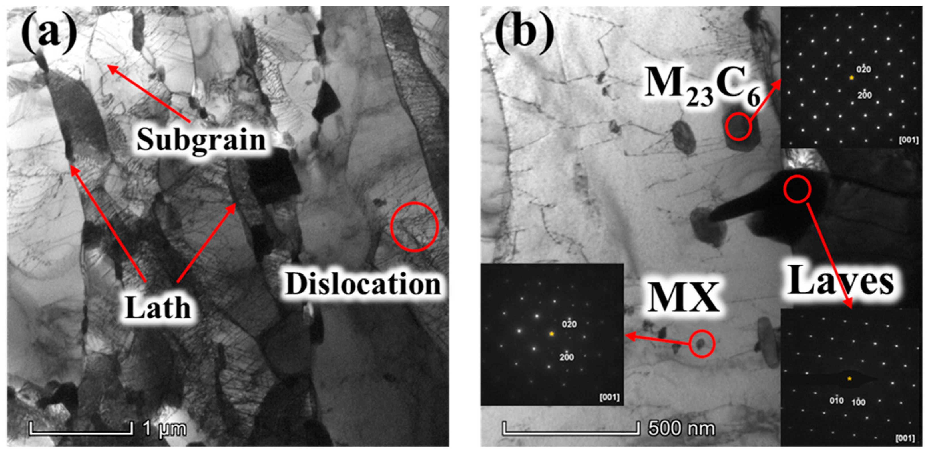 Metals 14 01191 g004