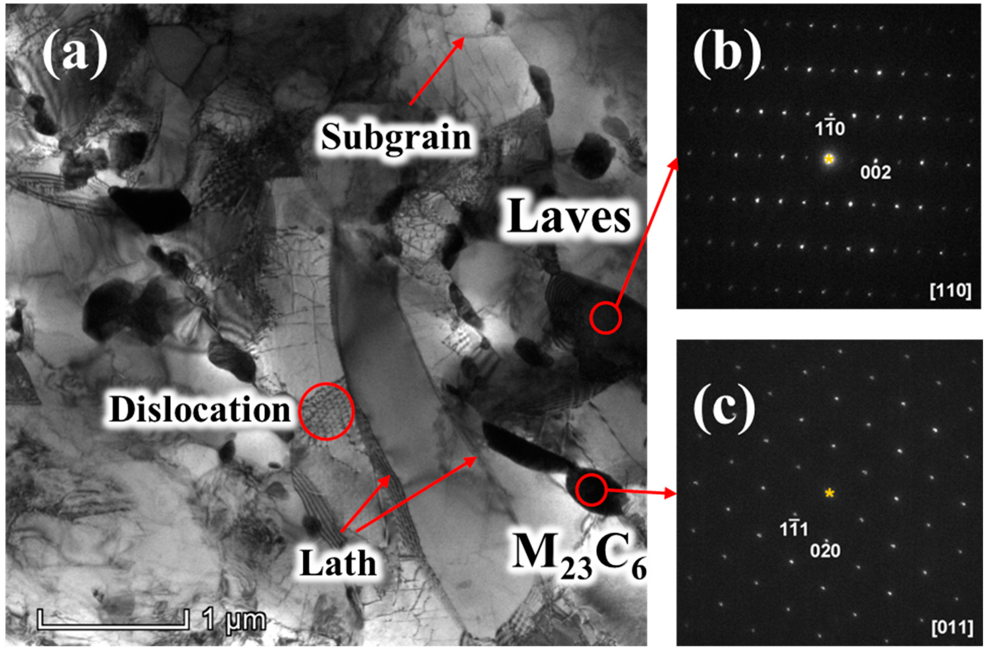 Metals 14 01191 g005