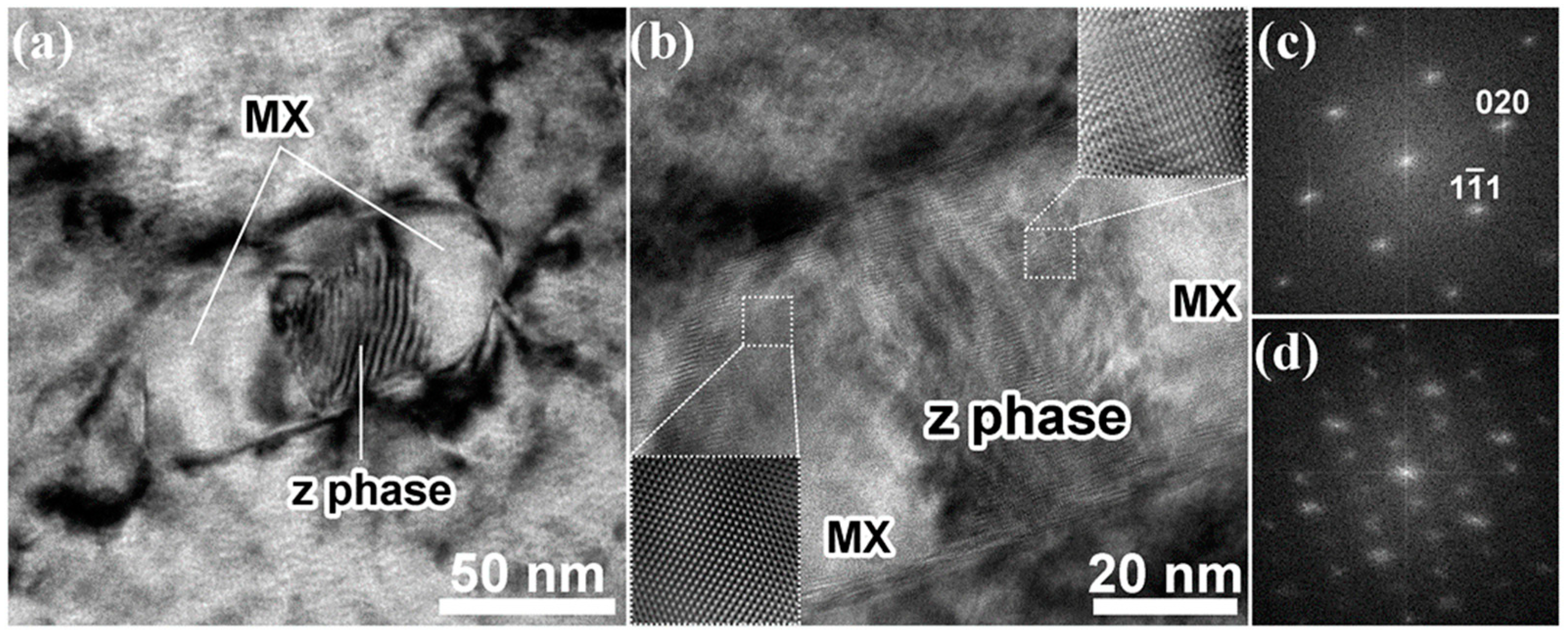 Metals 14 01191 g007