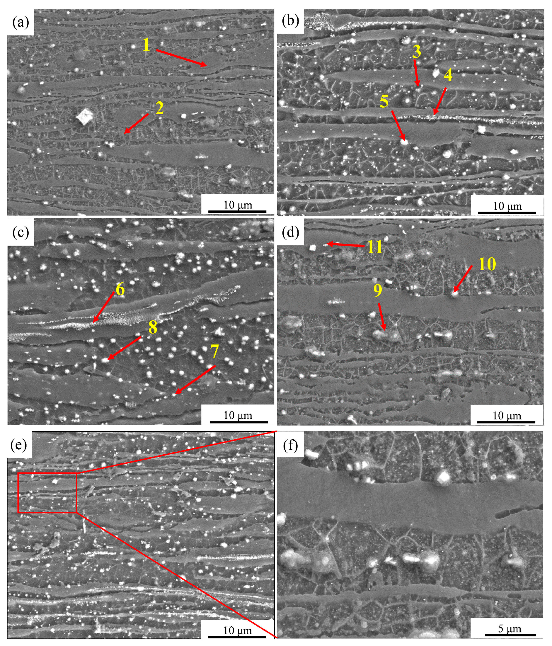 Metals 14 01202 g004