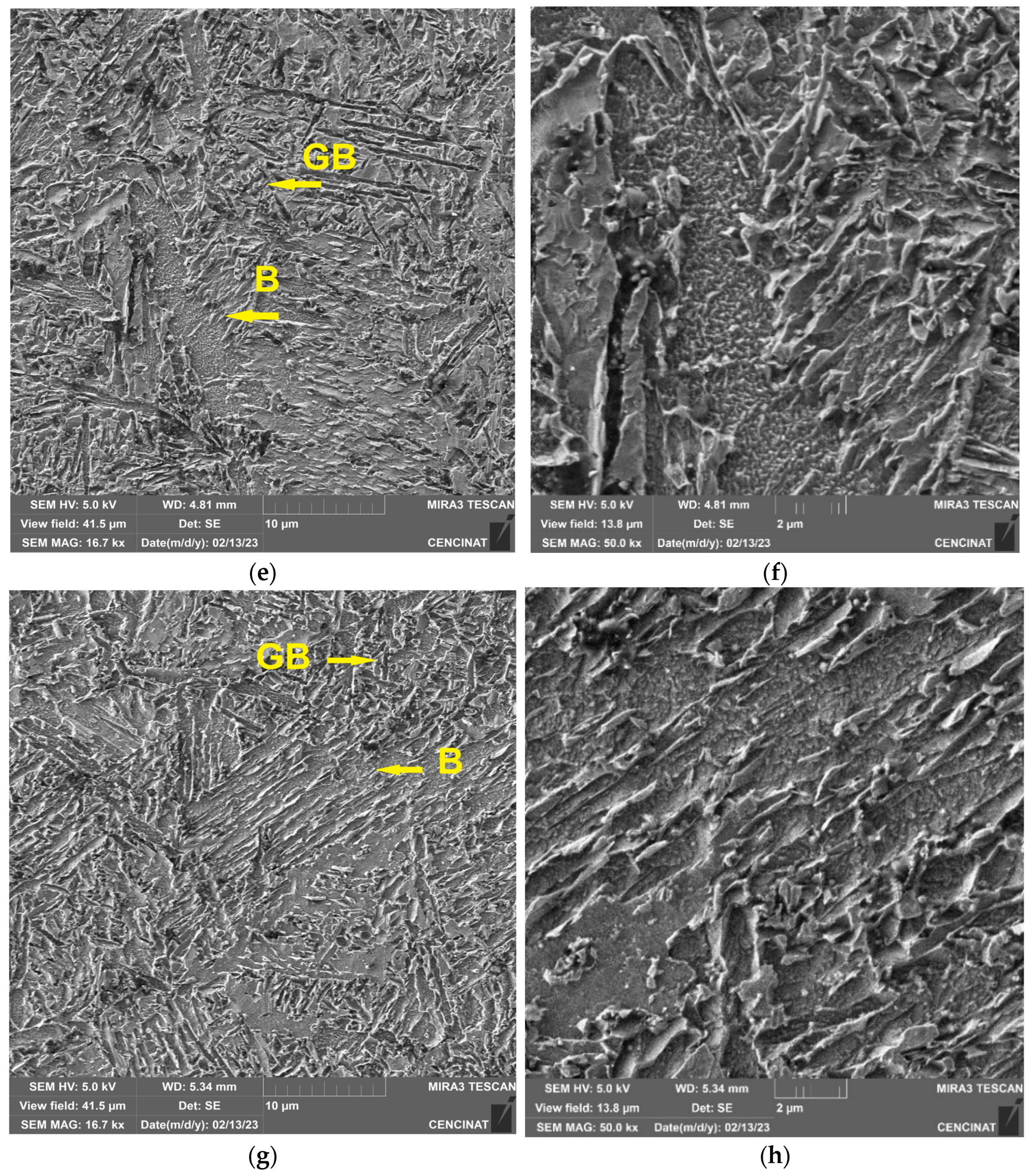 Metals 14 01219 g007b