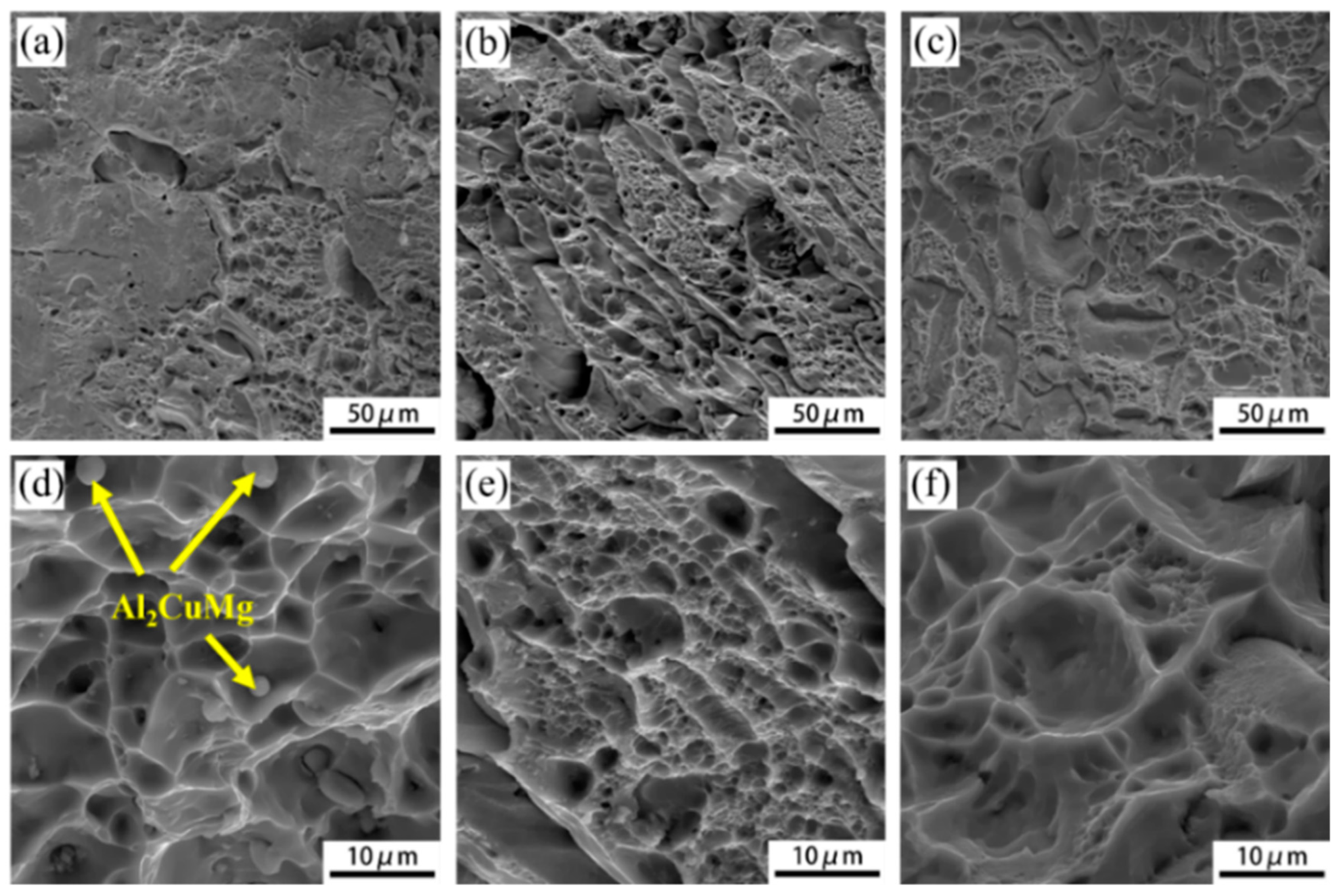 Metals 14 01226 g009