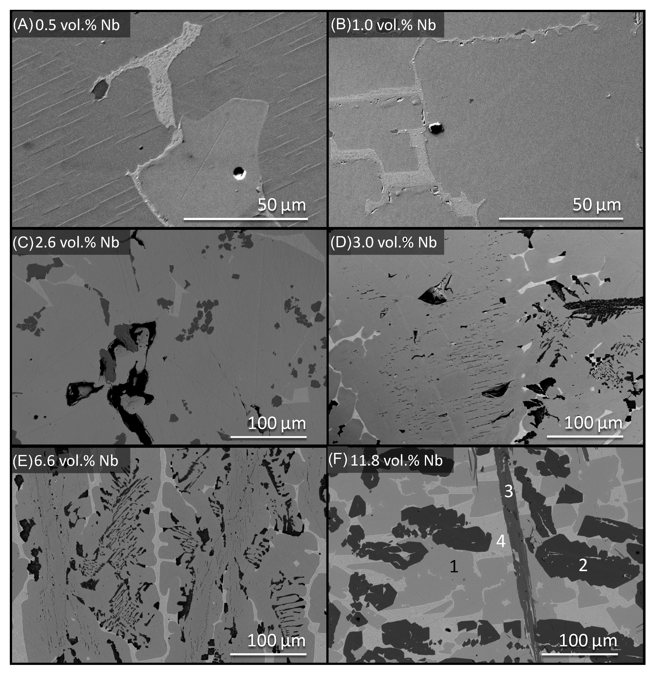 Metals 14 01239 g002 Metals 14 01239 g002