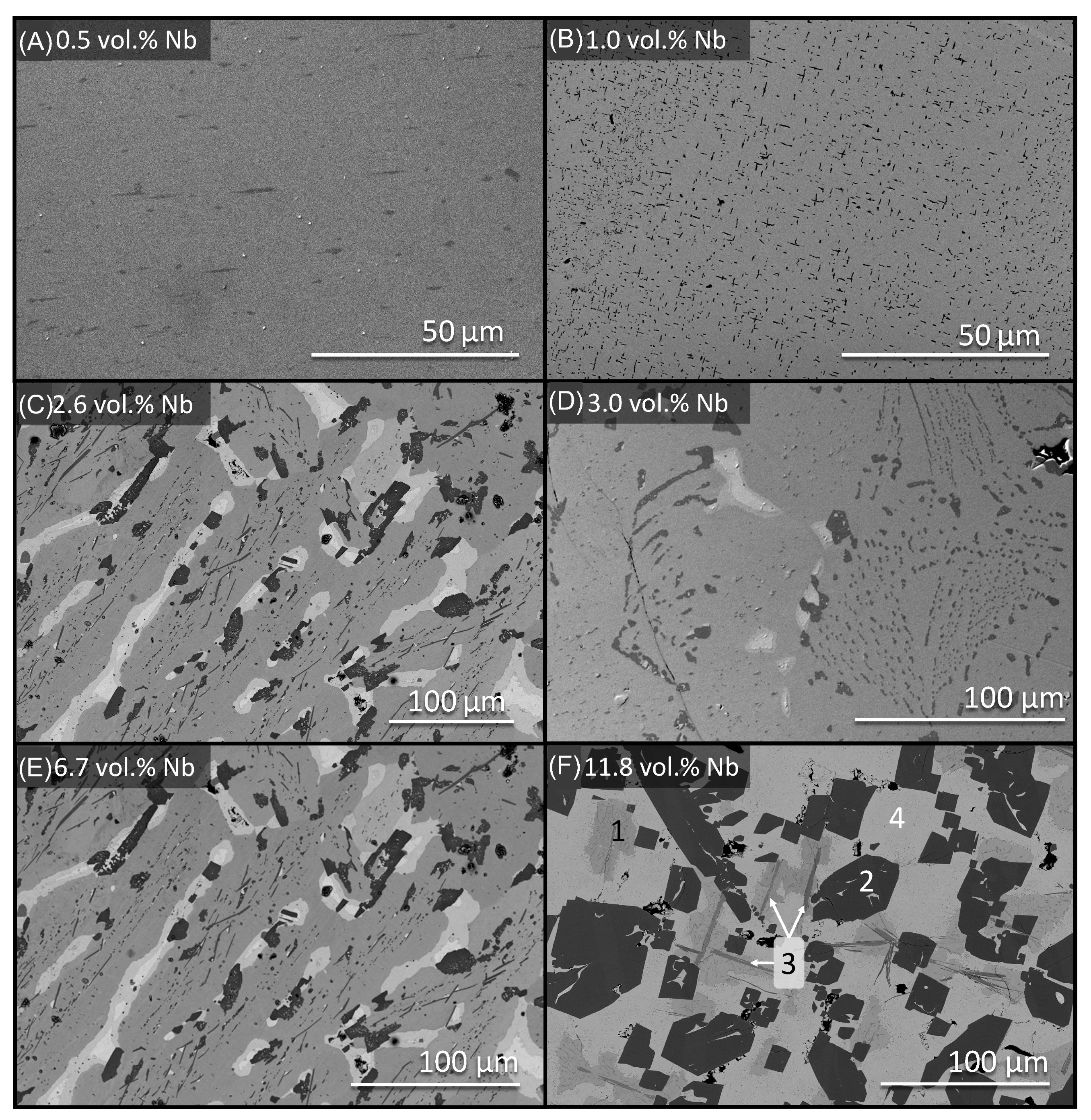 Metals 14 01239 g004 Metals 14 01239 g004