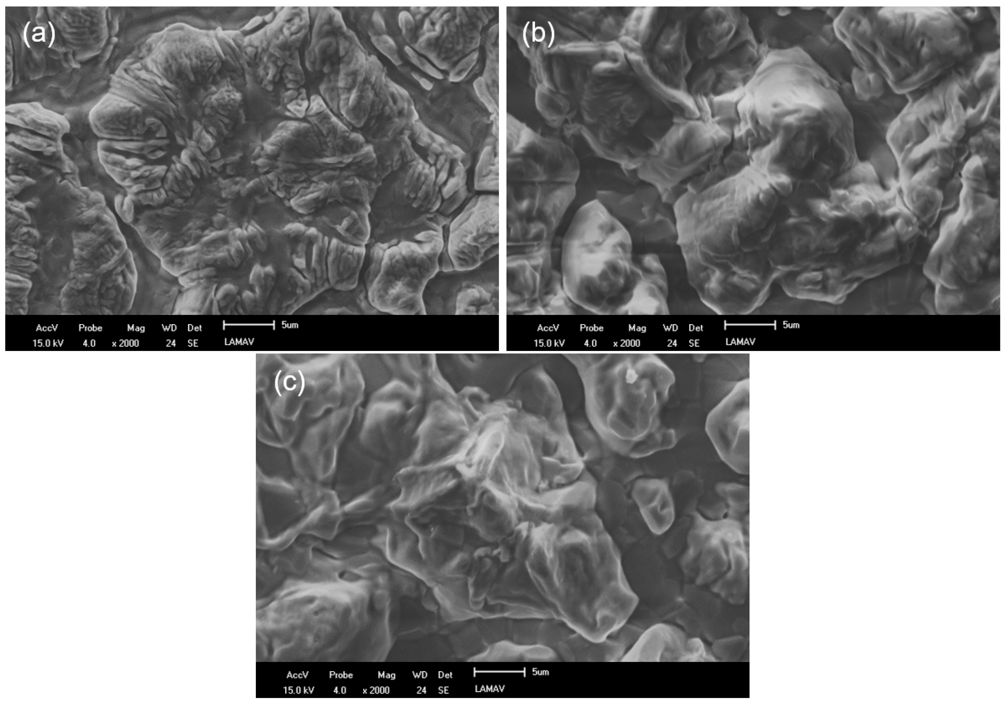 Metals 14 01251 g012