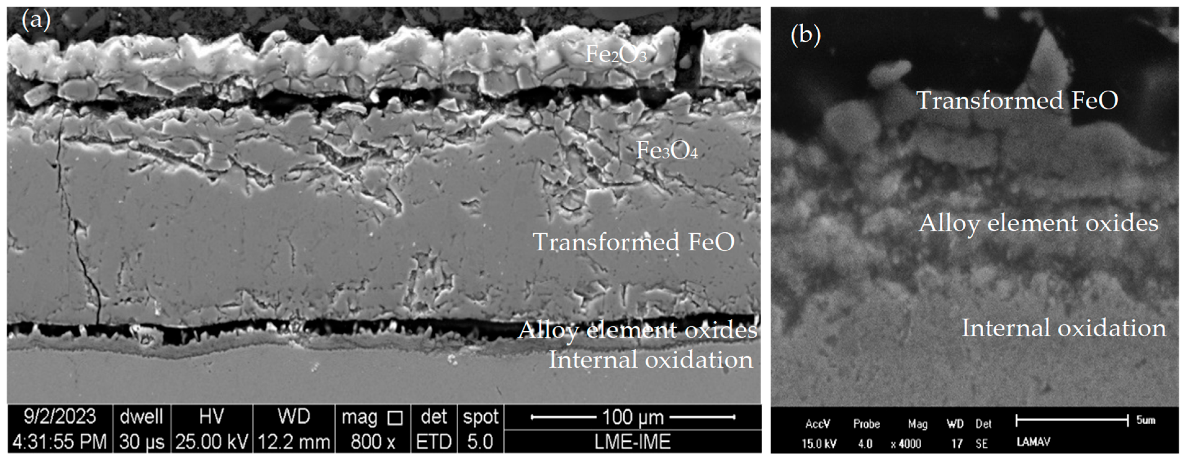 Metals 14 01251 g014
