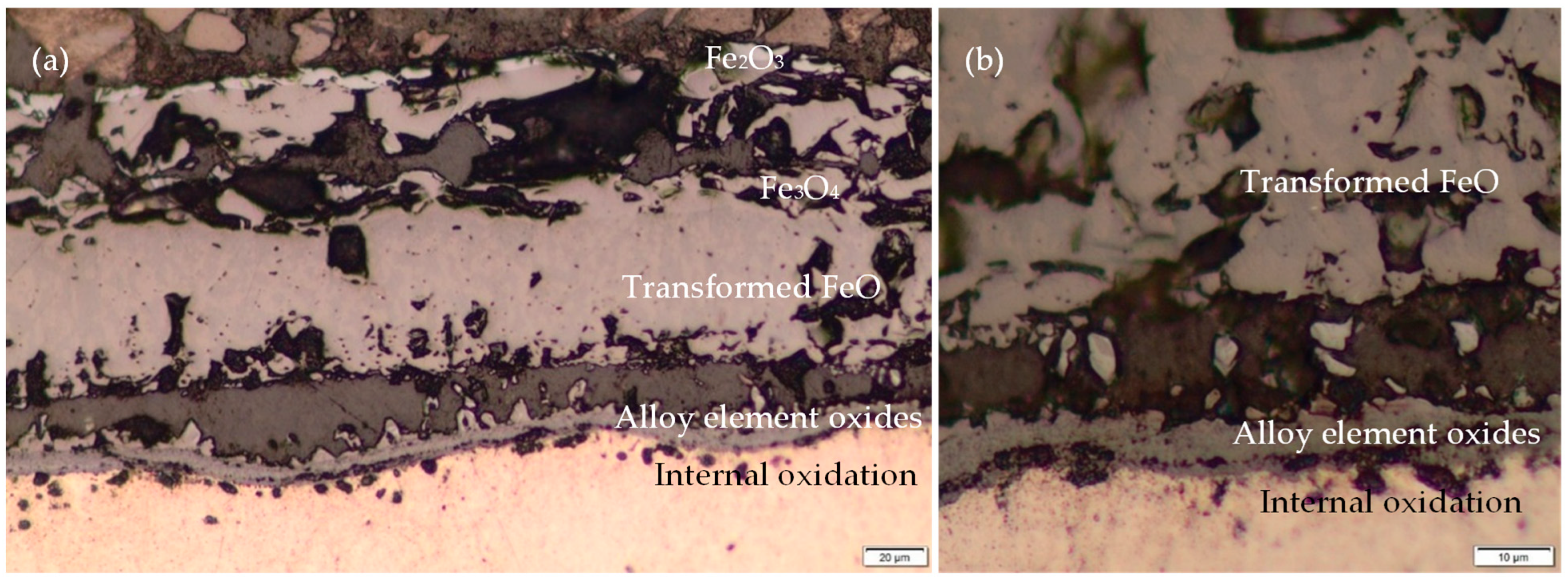 Metals 14 01251 g015