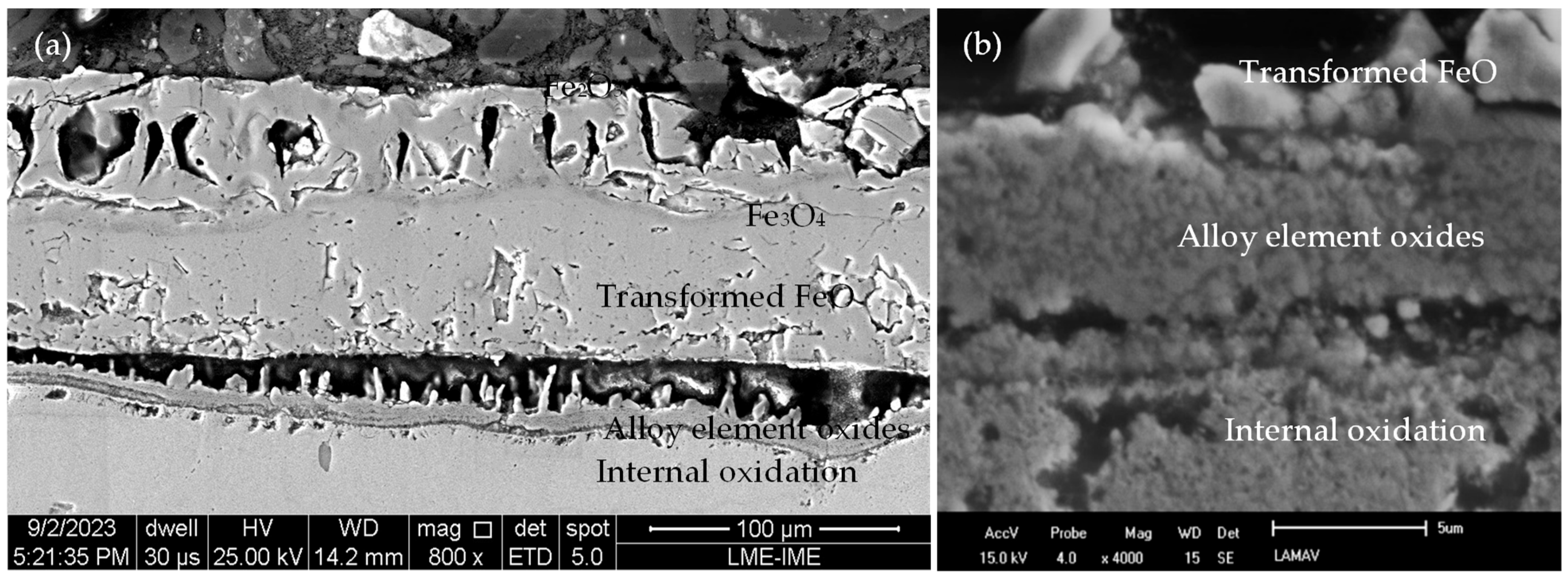 Metals 14 01251 g016