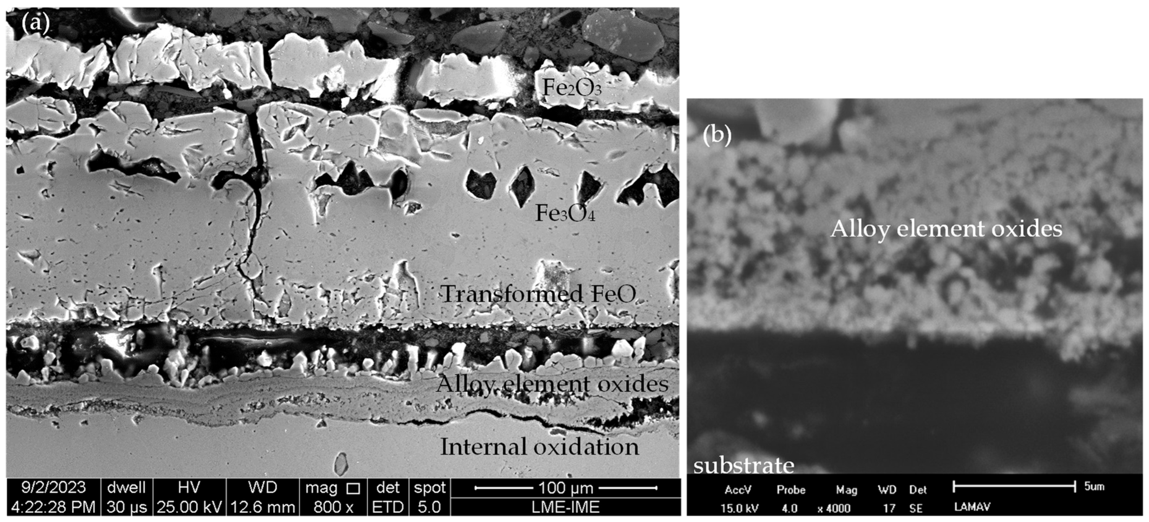 Metals 14 01251 g018