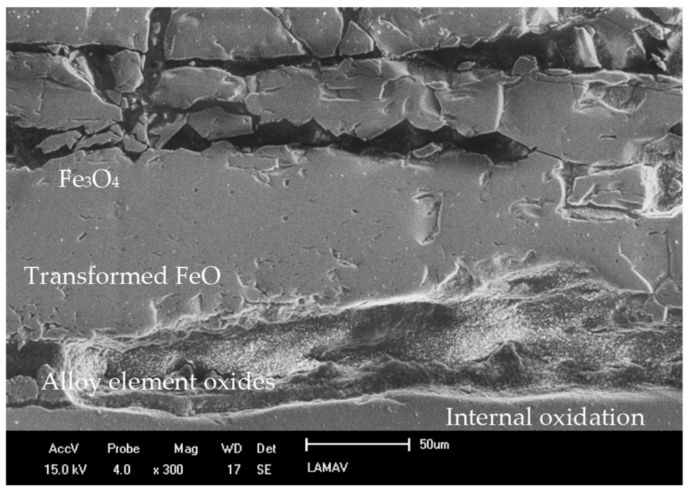 Metals 14 01251 g019