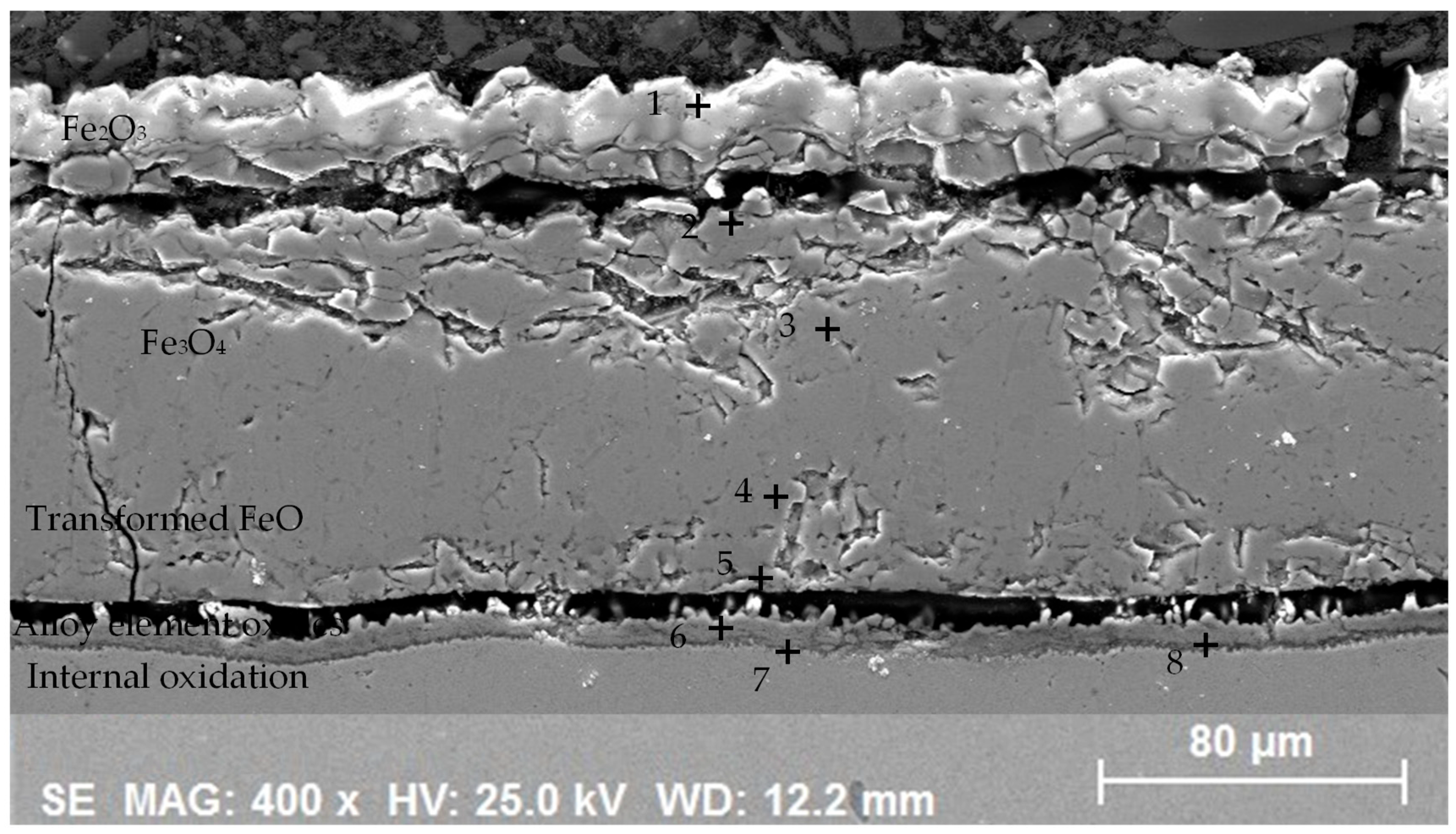 Metals 14 01251 g022