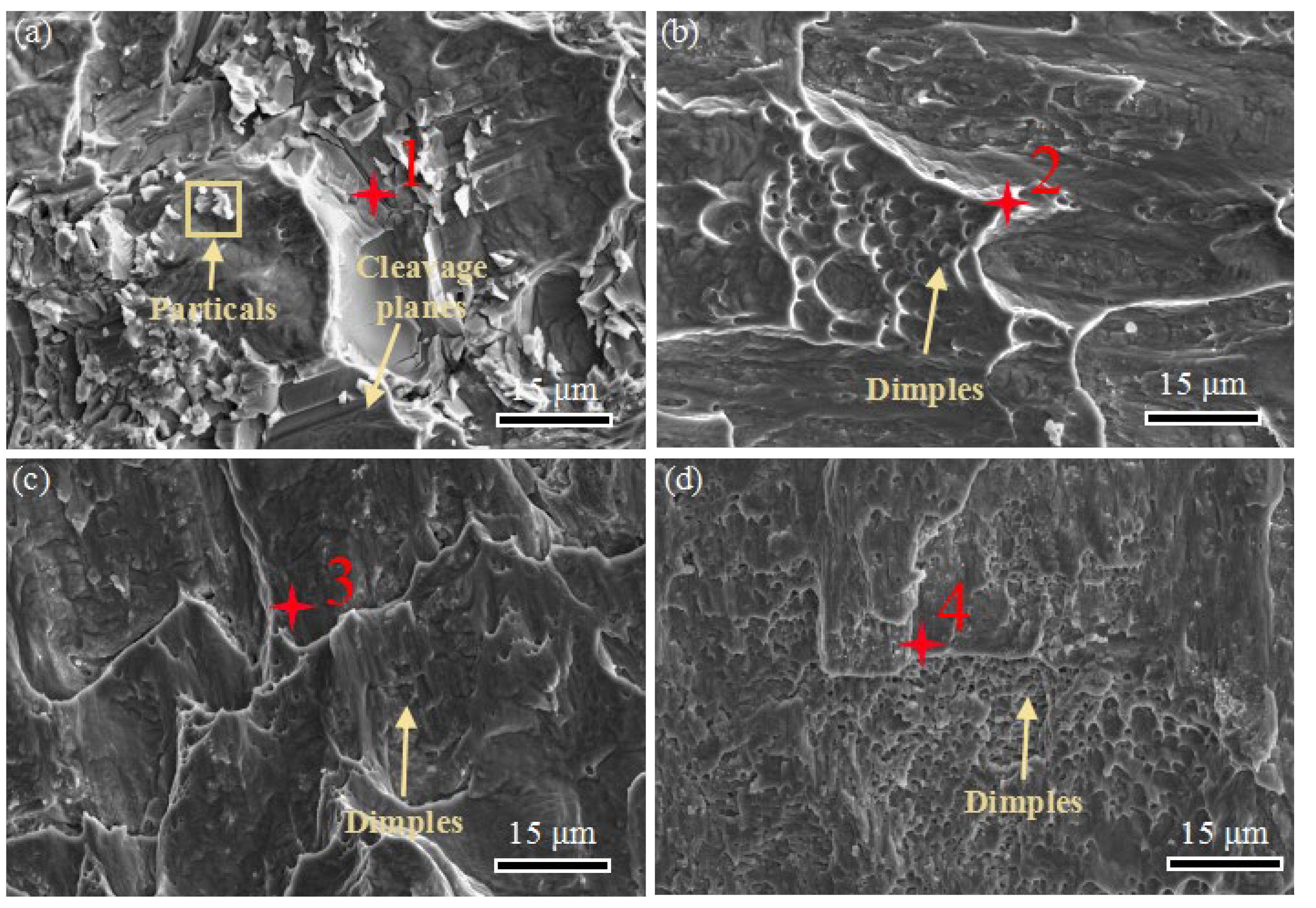 Metals 14 01274 g014