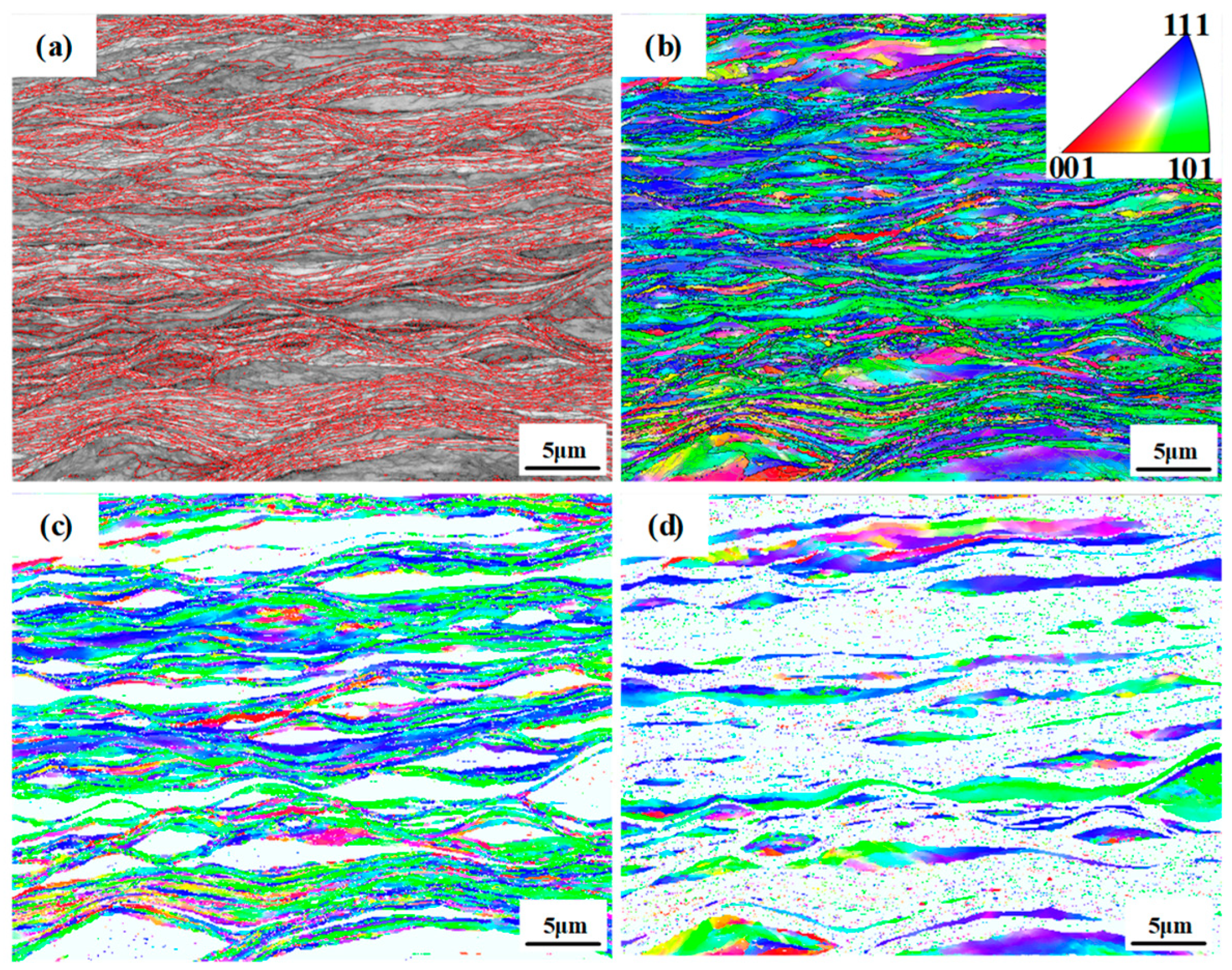 Metals 14 01313 g007