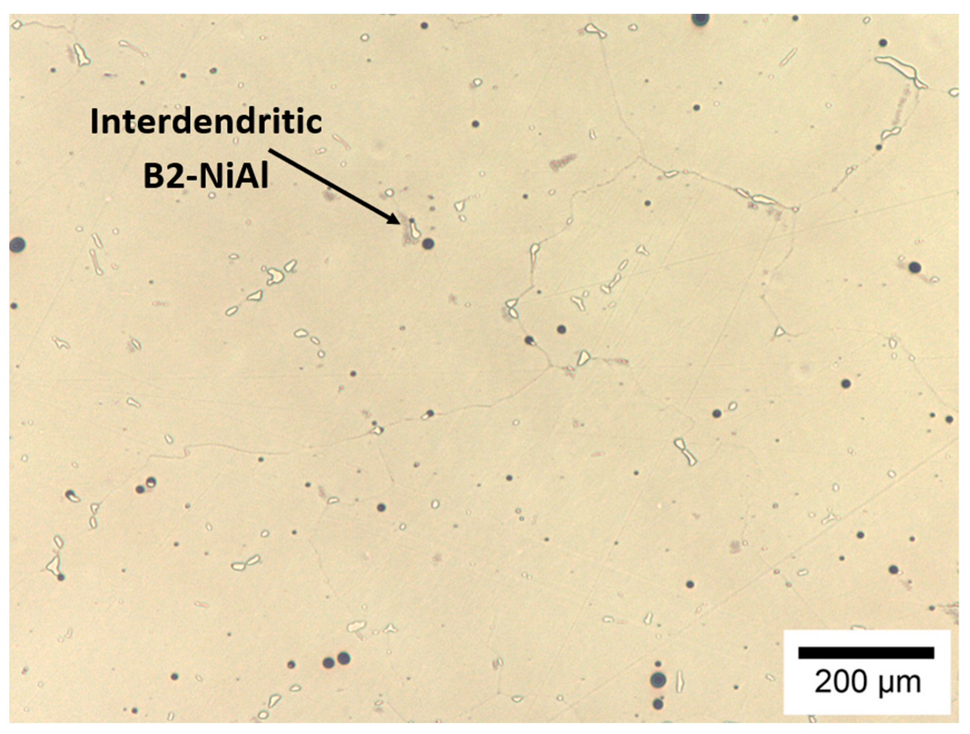 Metals 14 01342 g003