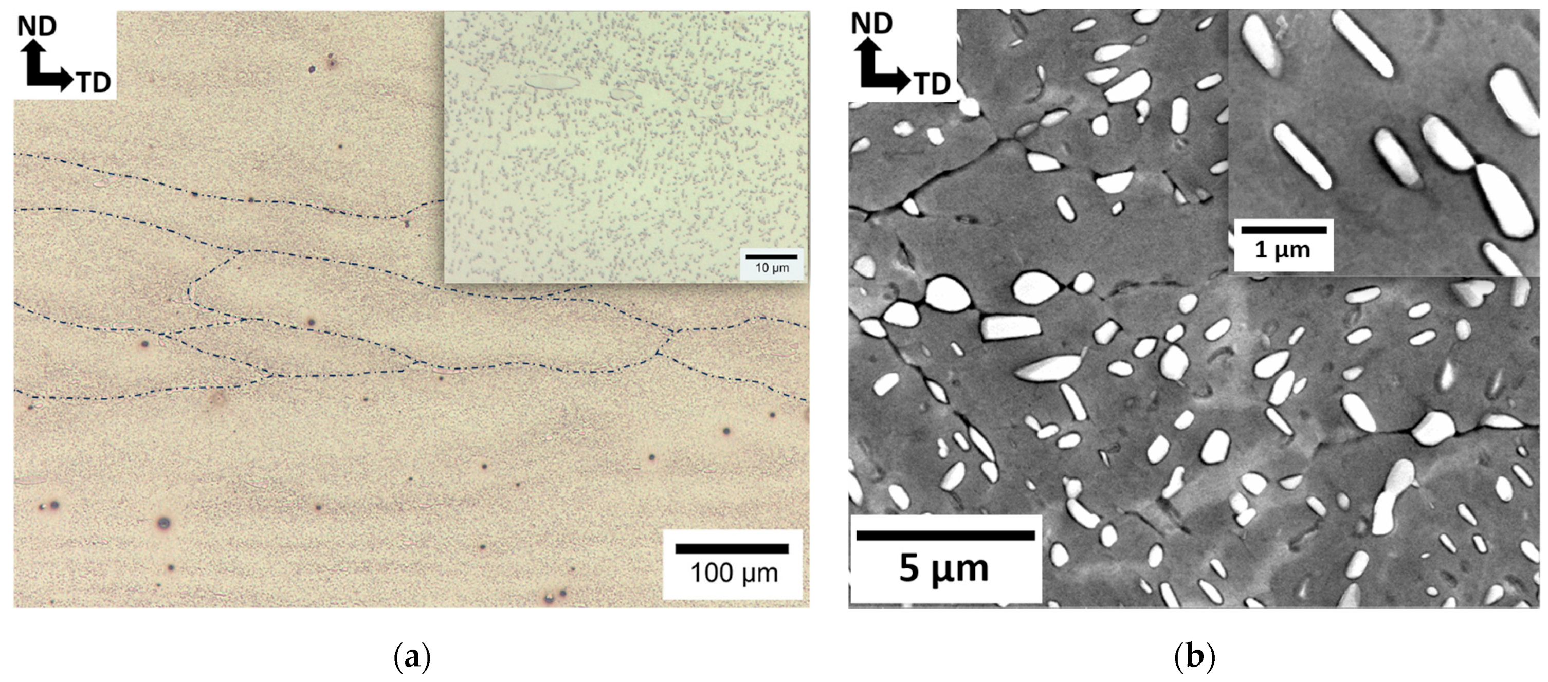 Metals 14 01342 g004