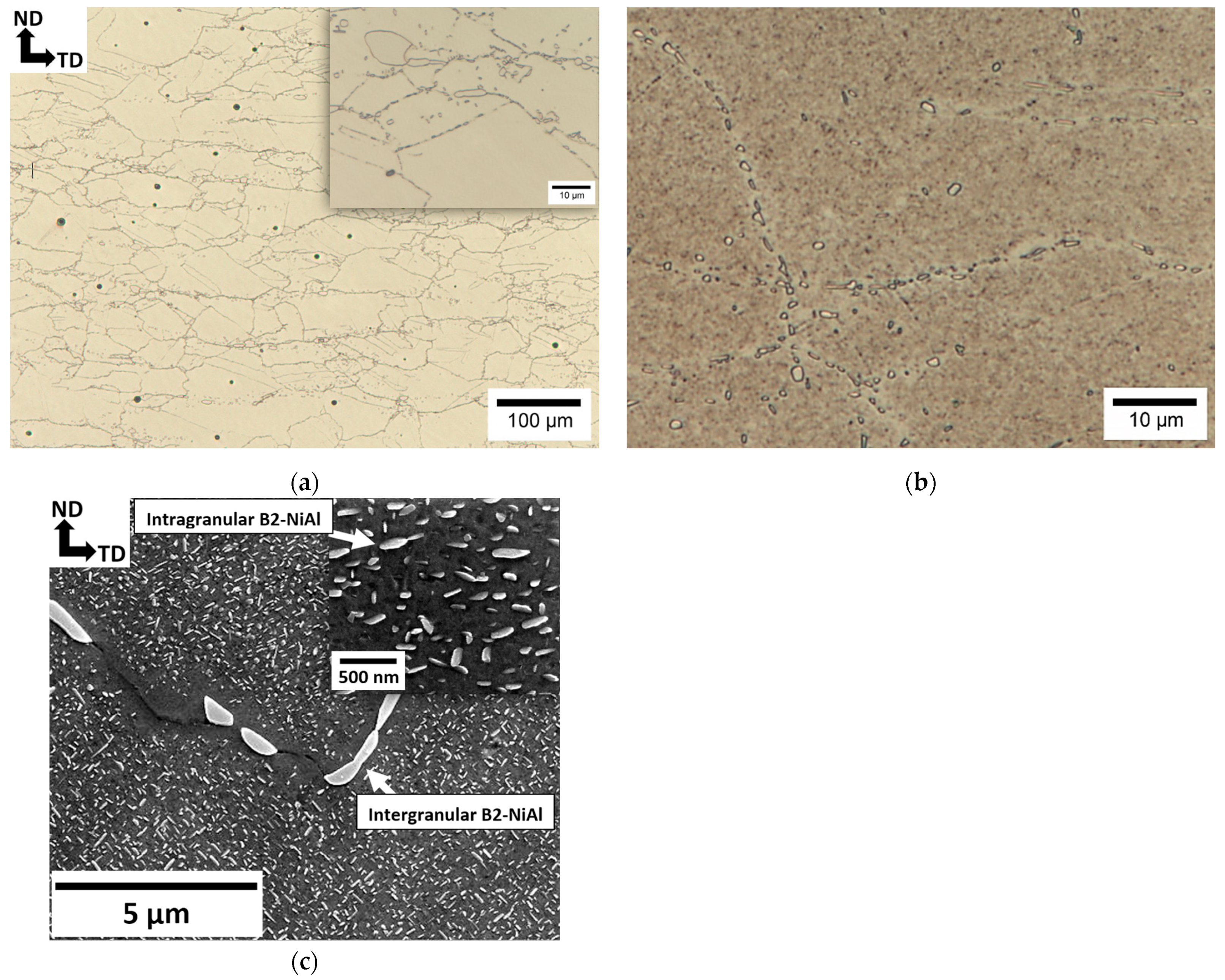 Metals 14 01342 g005