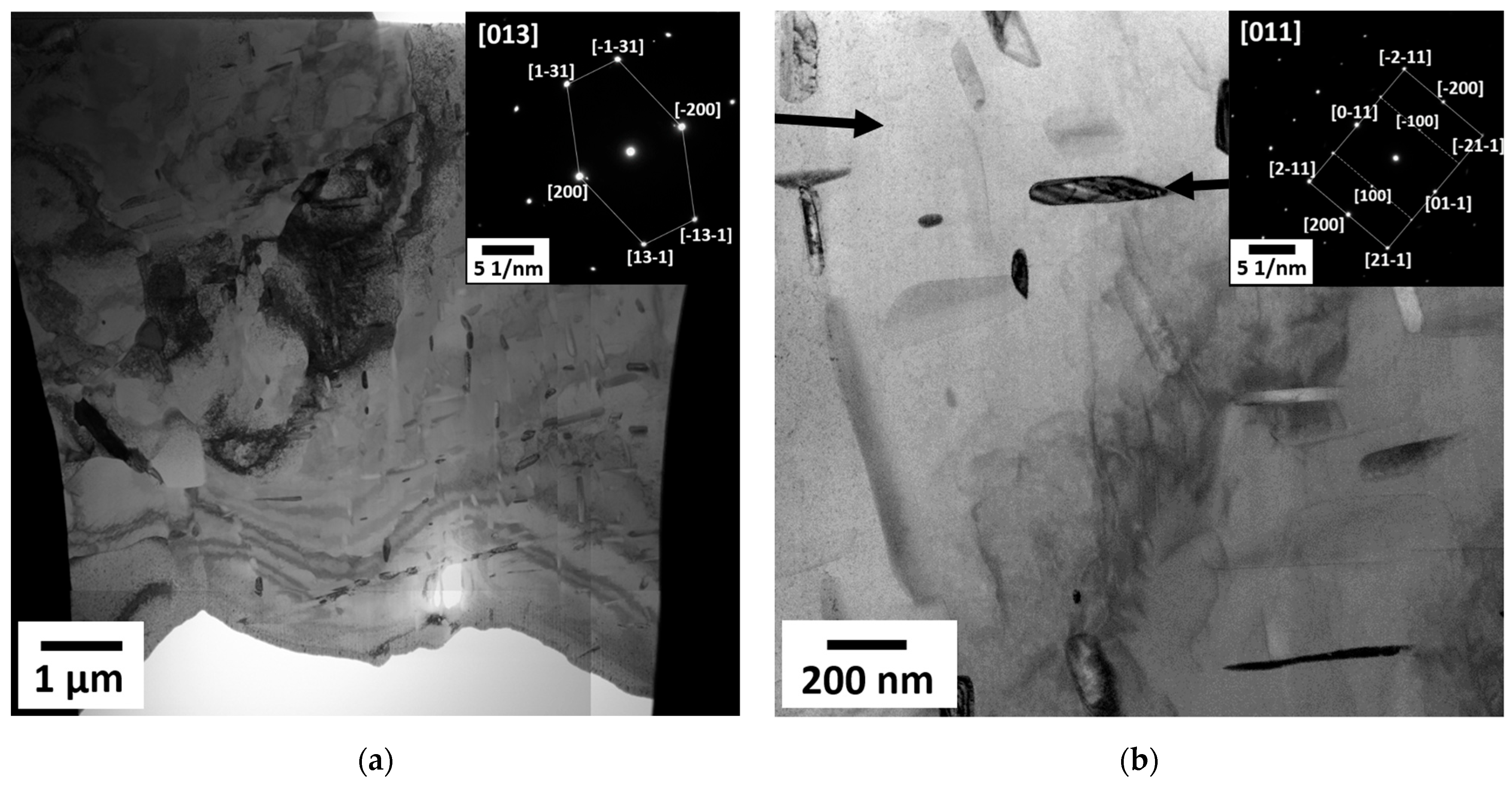 Metals 14 01342 g006