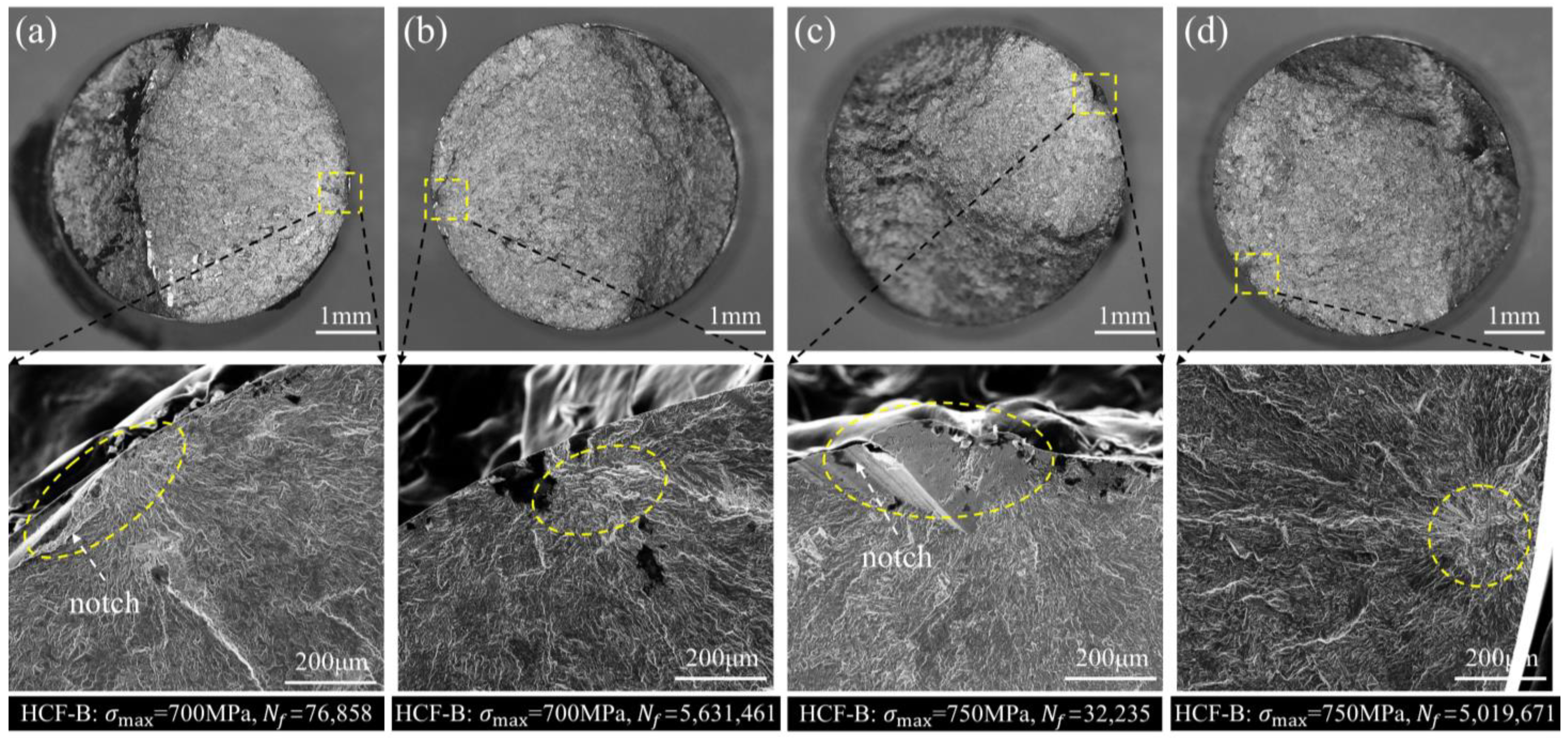 Metals 14 01350 g003