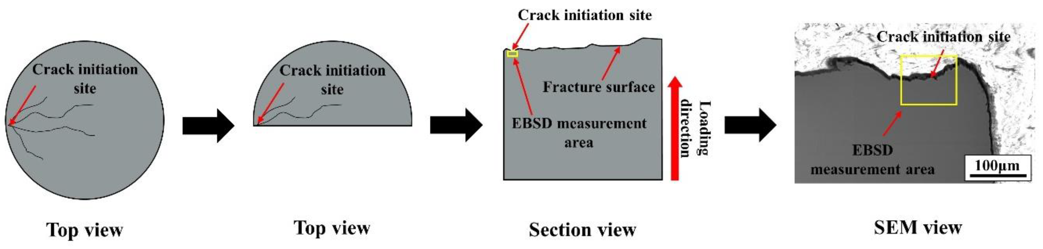 Metals 14 01350 g004