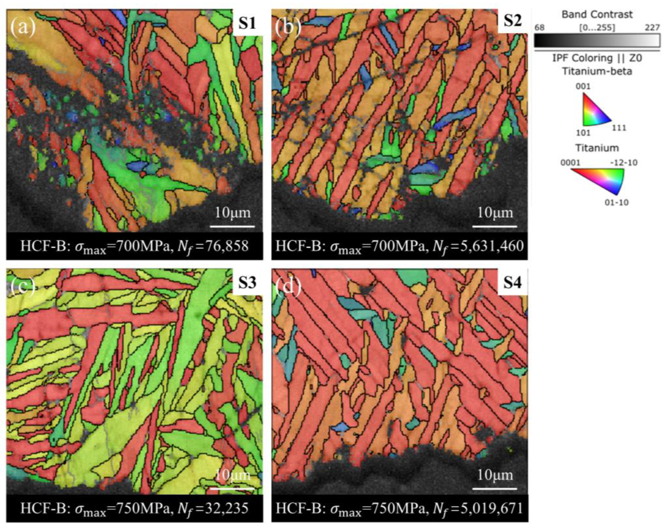 Metals 14 01350 g005